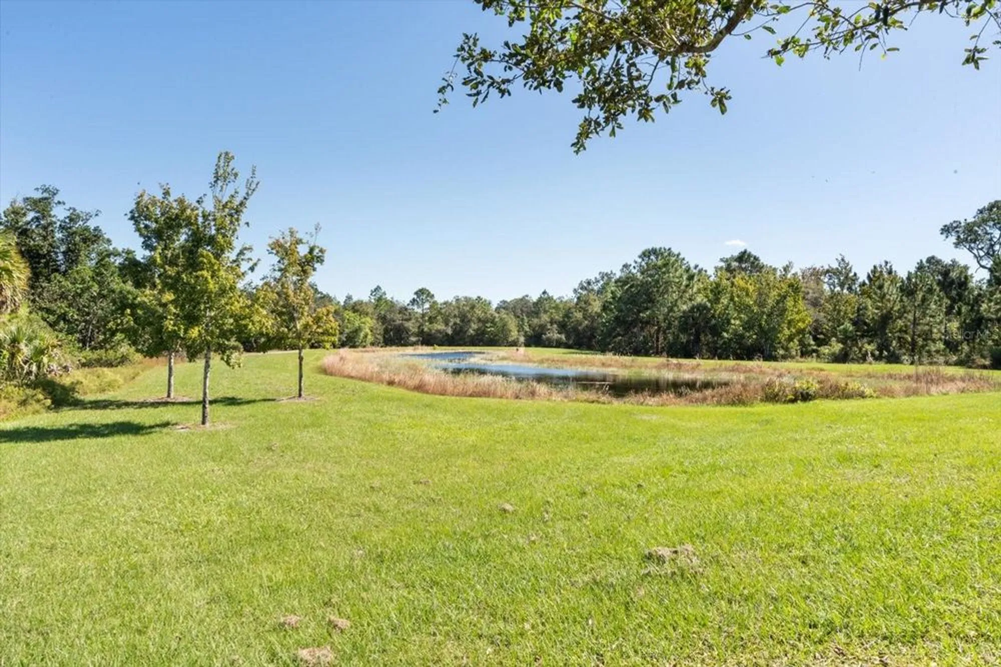 Property Slideshow image 33 of 34 | 3447 feathergrass ct, Harmony, FL, 34773