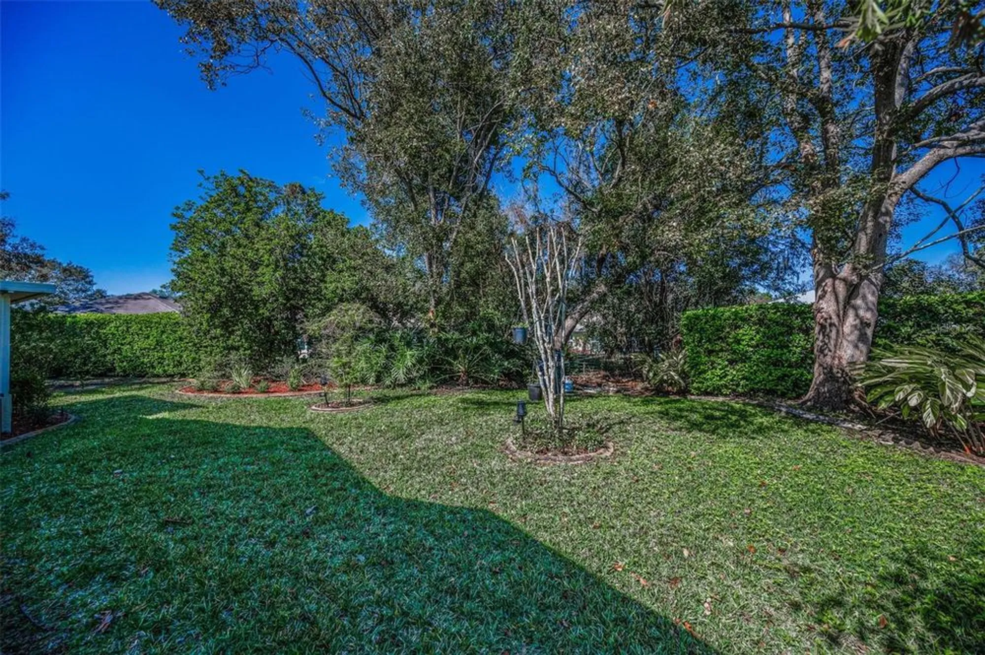 Property Slideshow image 50 of 100 | 11427 turtle dove pl, New Port Richey, FL, 34654