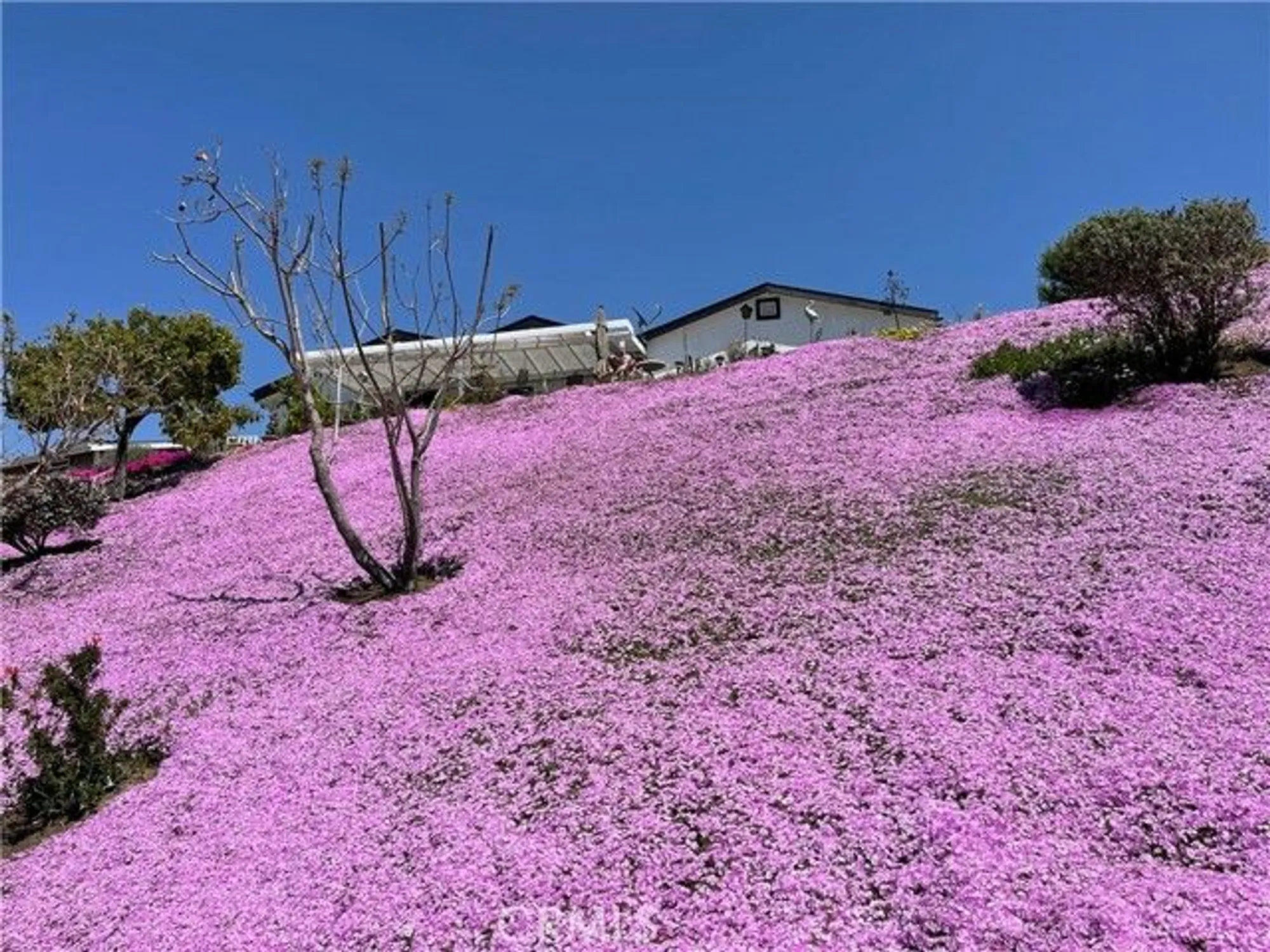 Property Slideshow image 61 of 73 | 1473 salem ct, Oceanside, CA, 92057