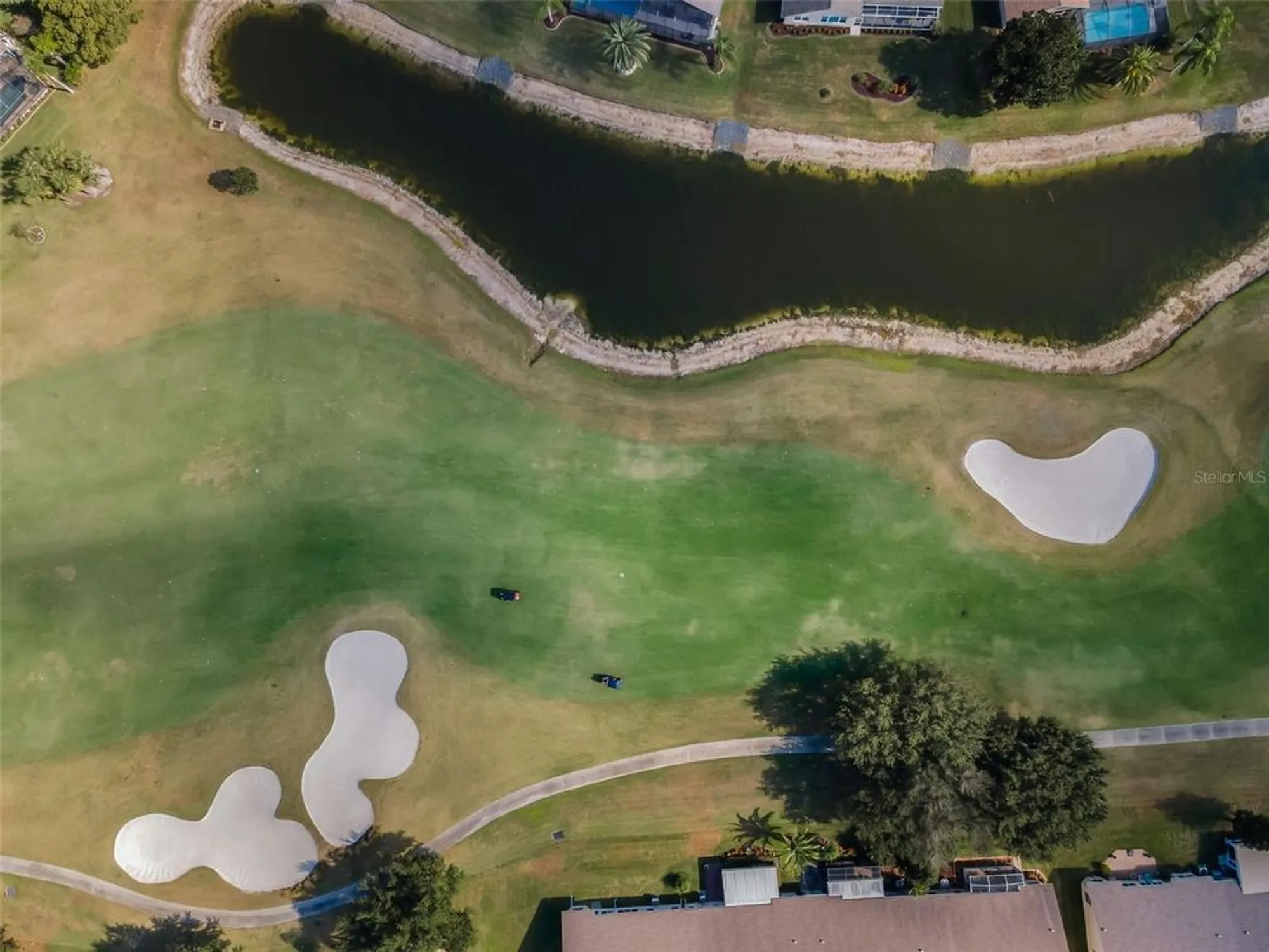 Property Slideshow image 4 of 100 | 1136 almondwood dr, Trinity, FL, 34655