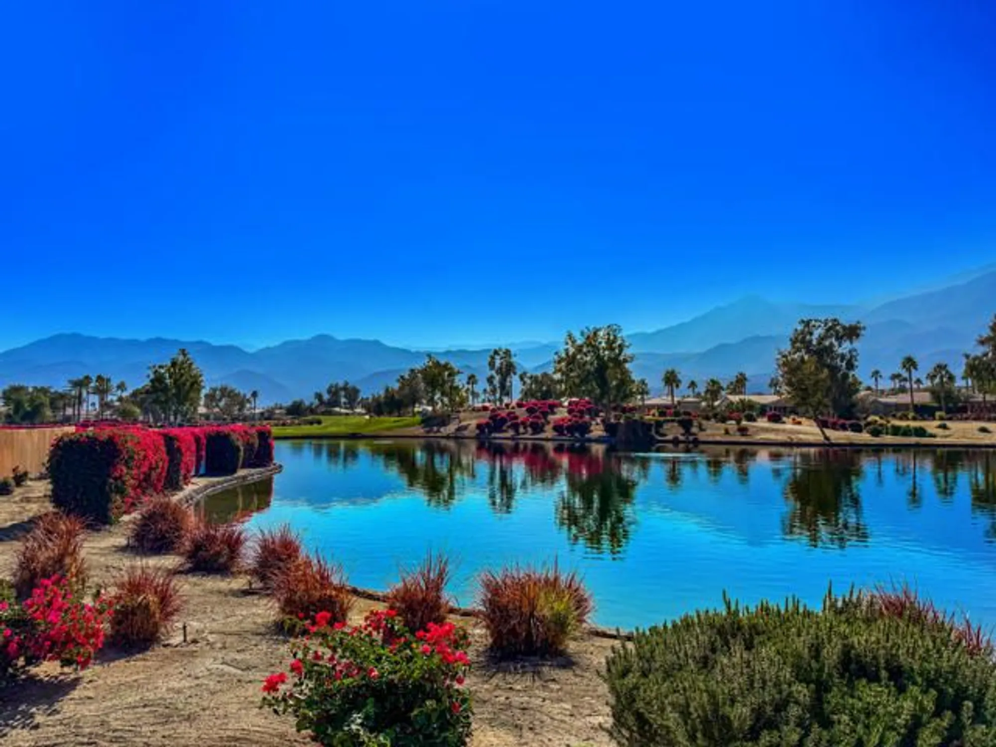 Property Slideshow image 53 of 66 | 81800 eagle claw dr, La Quinta, CA, 92253