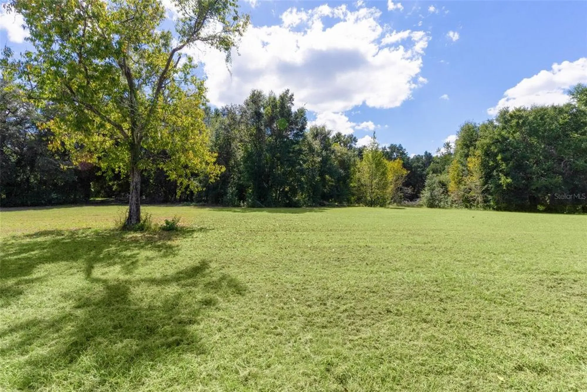 Property Slideshow image 42 of 60 | 164 palermo pl, The Villages, FL, 32159