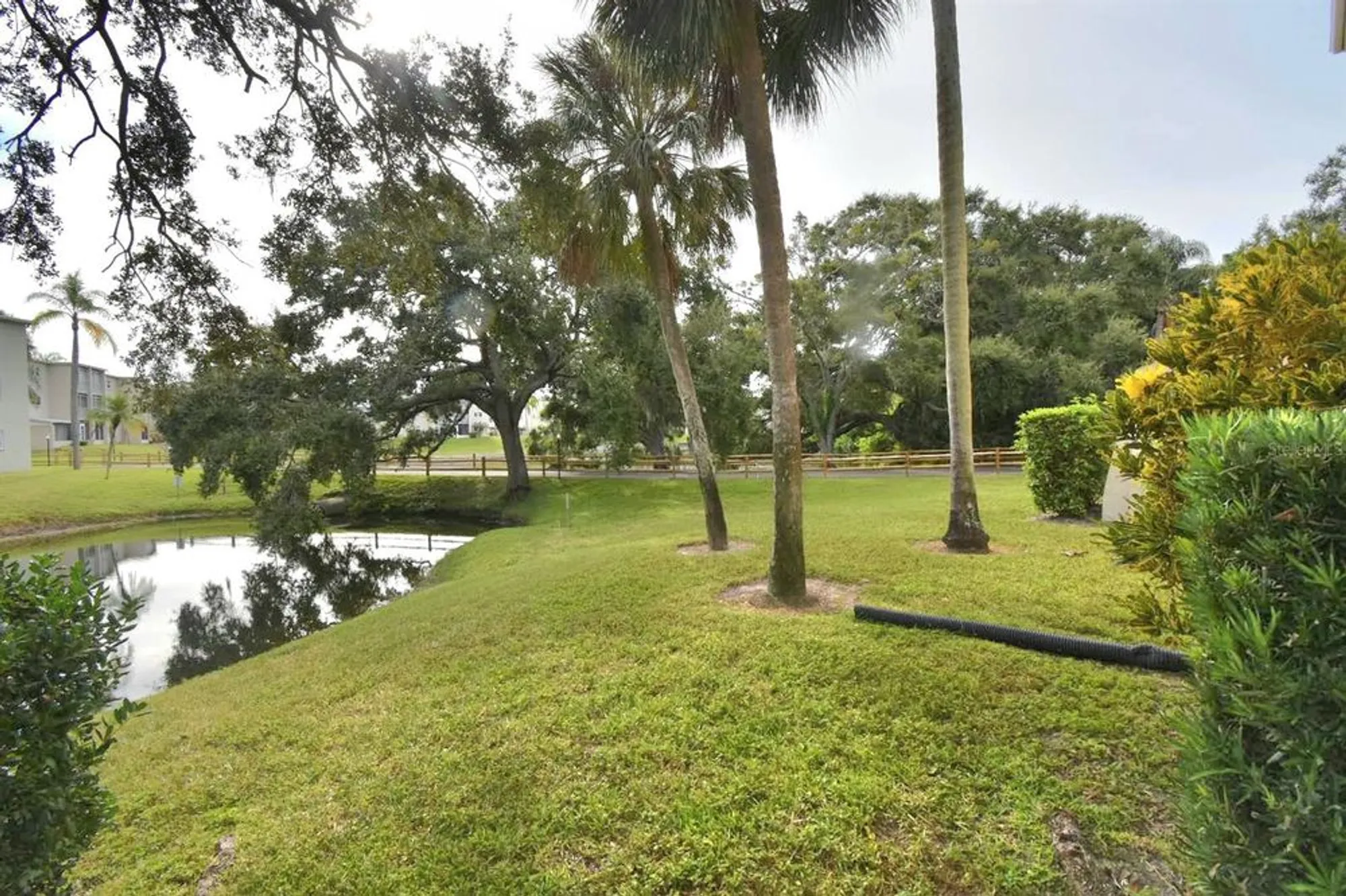 Property Slideshow image 11 of 50 | 940 virginia st 108, Dunedin, FL, 34698