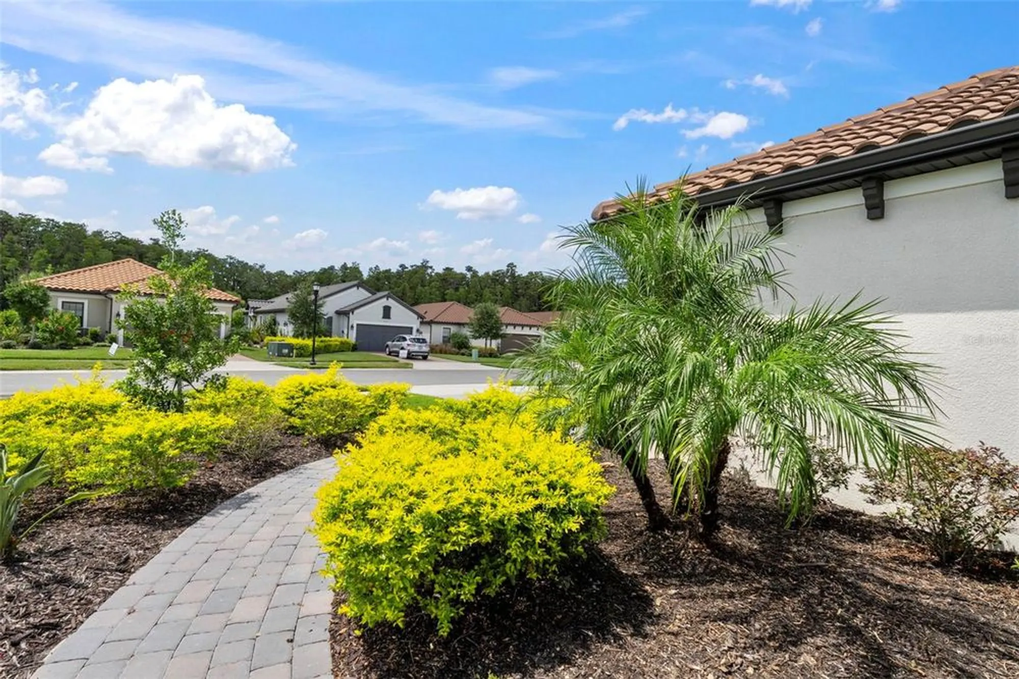 Property Slideshow image 57 of 62 | 4308 cairoli ct, Wesley Chapel, FL, 33543