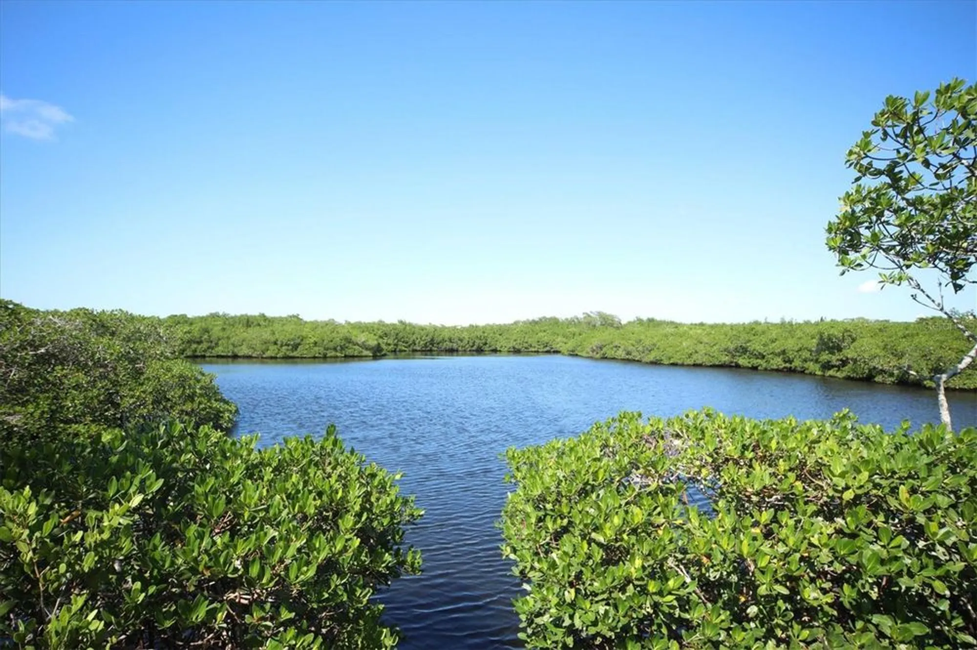 Property Slideshow image 61 of 71 | 1703 starling dr # 1703, Sarasota, FL, 34231