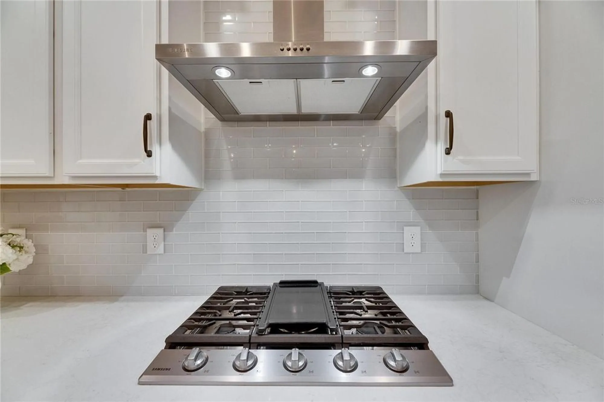 Property Slideshow image 24 of 87 | 407 sandsend ct, Apollo Beach, FL, 33572