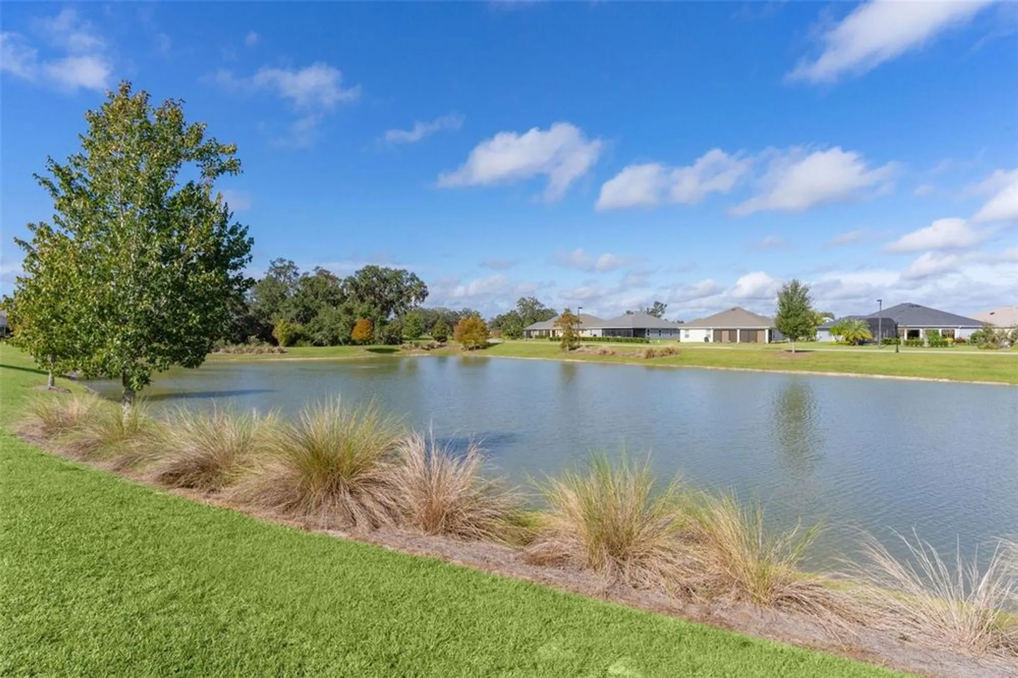 Property Slideshow image 53 of 69 | 1803 zientara loop, The Villages, FL, 32163