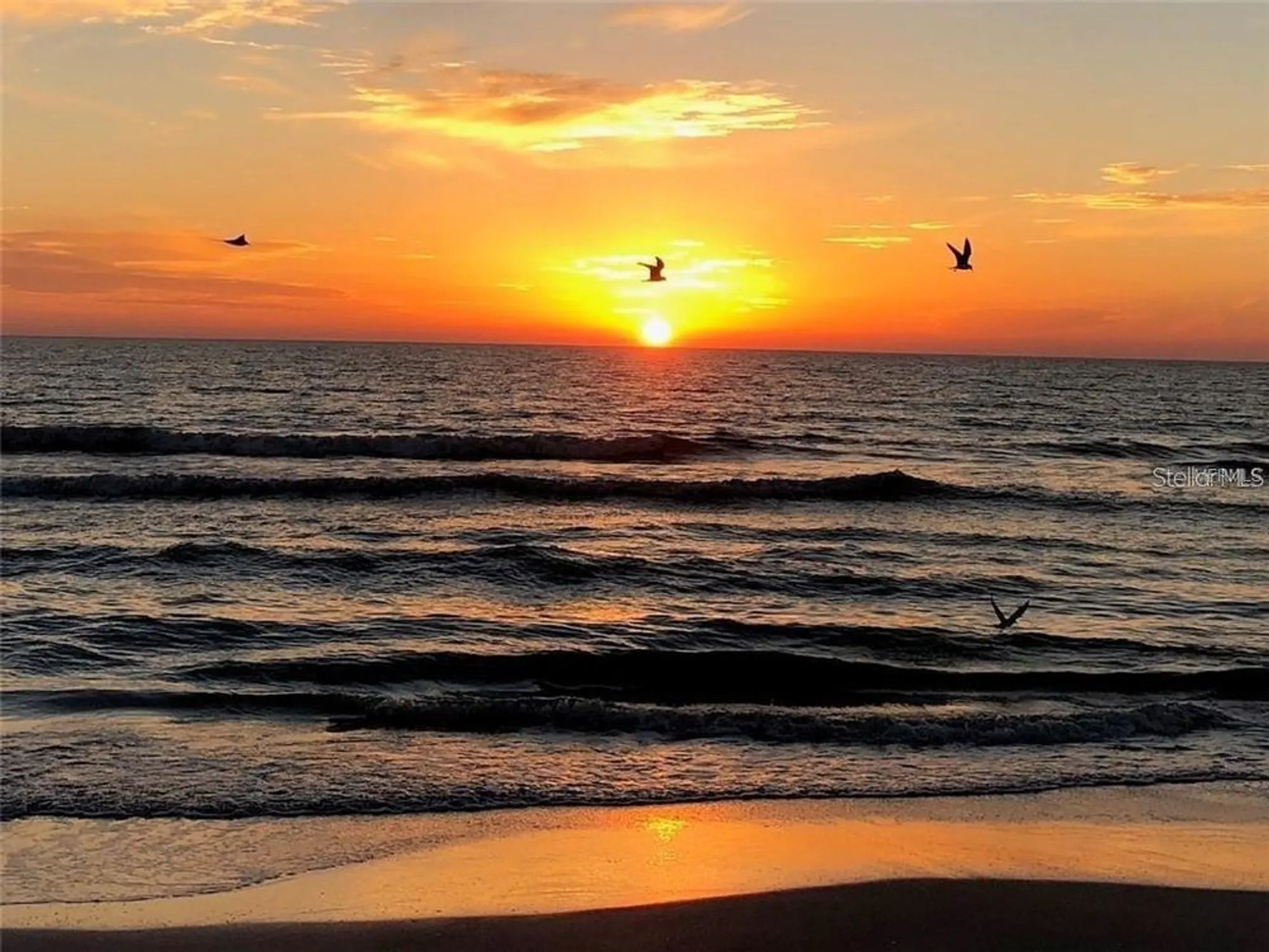 Property Slideshow image 65 of 65 | 2433 brazilia dr apt 43, Clearwater, FL, 33763