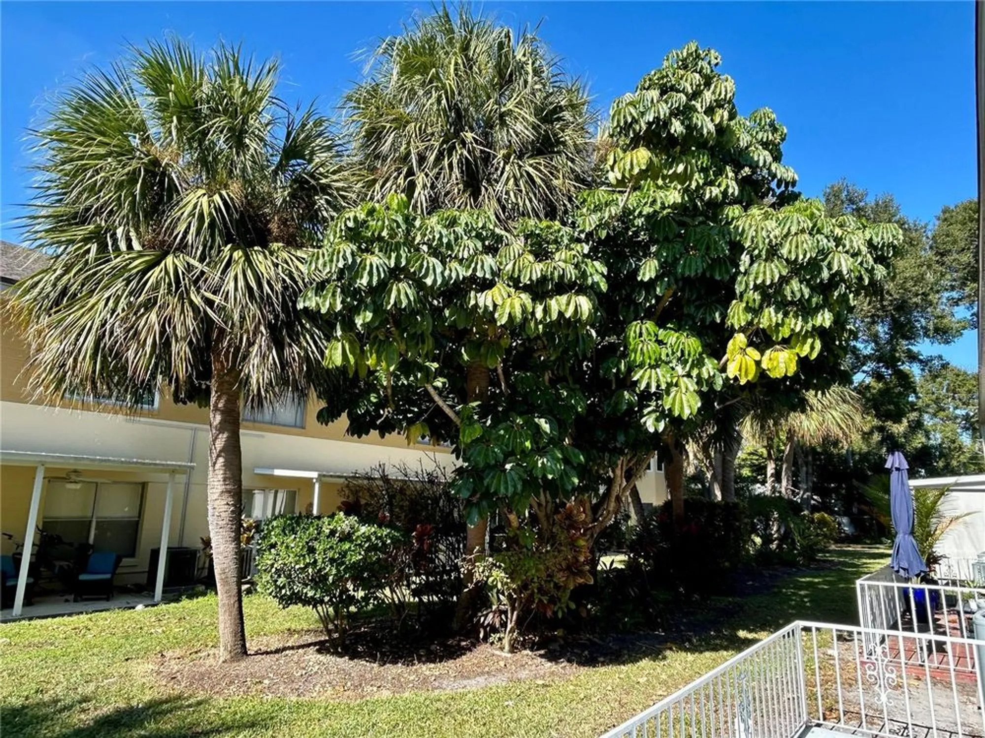 Property Slideshow image 36 of 57 | 2294 belgian ln 14, Clearwater, FL, 33763