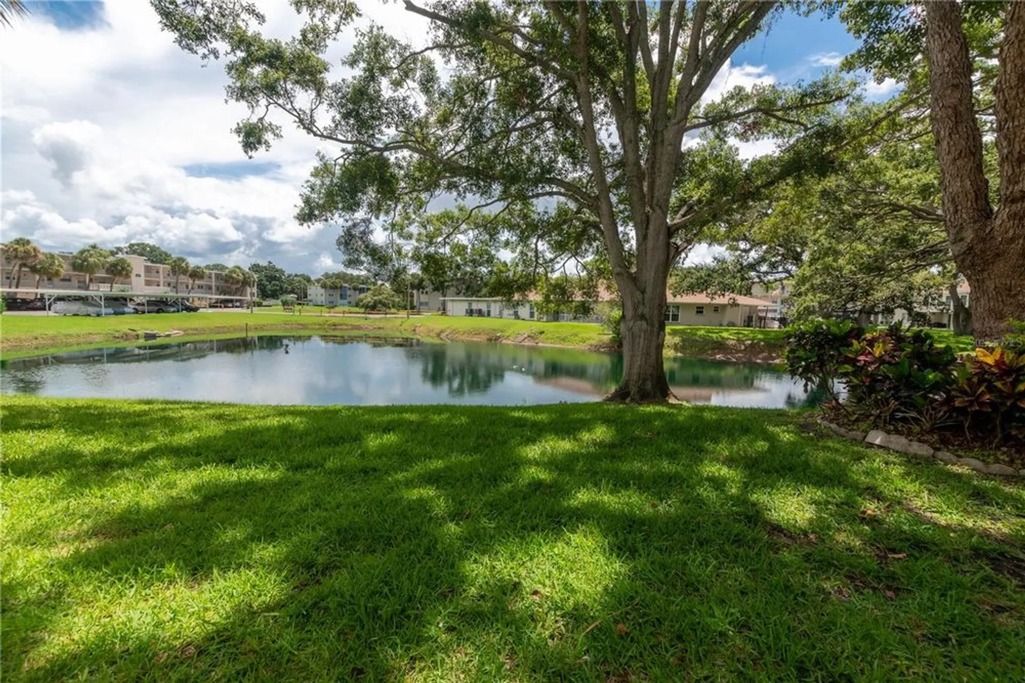 Property Slideshow image 6 of 19 | 821 patricia ave 103, Dunedin, FL, 34698