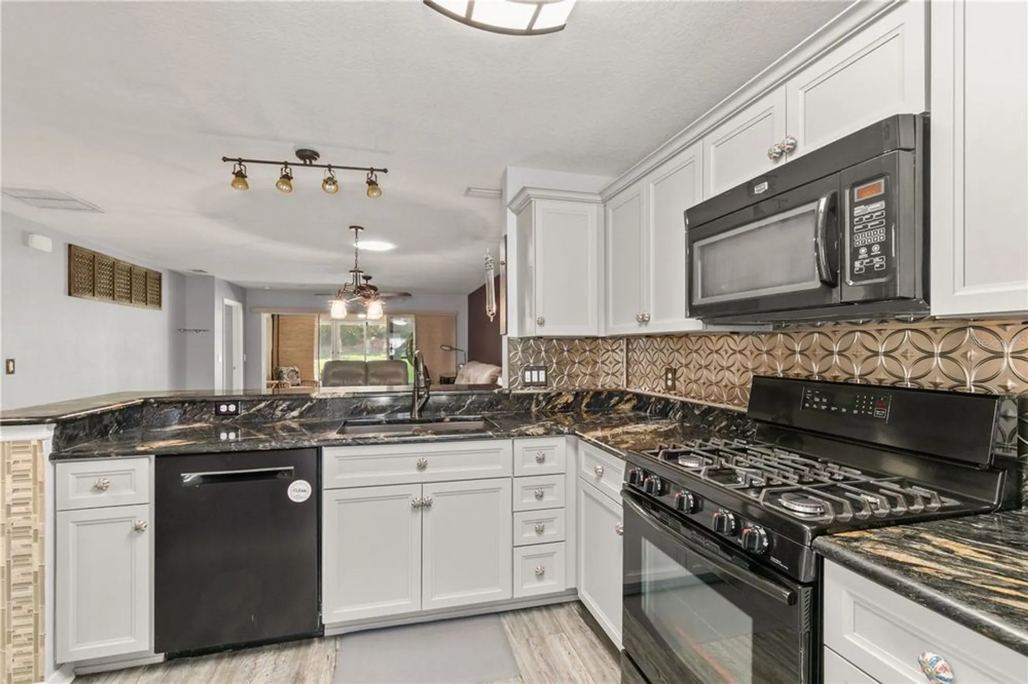 Property Slideshow image 3 of 39 | 26917 white plains way, Leesburg, FL, 34748