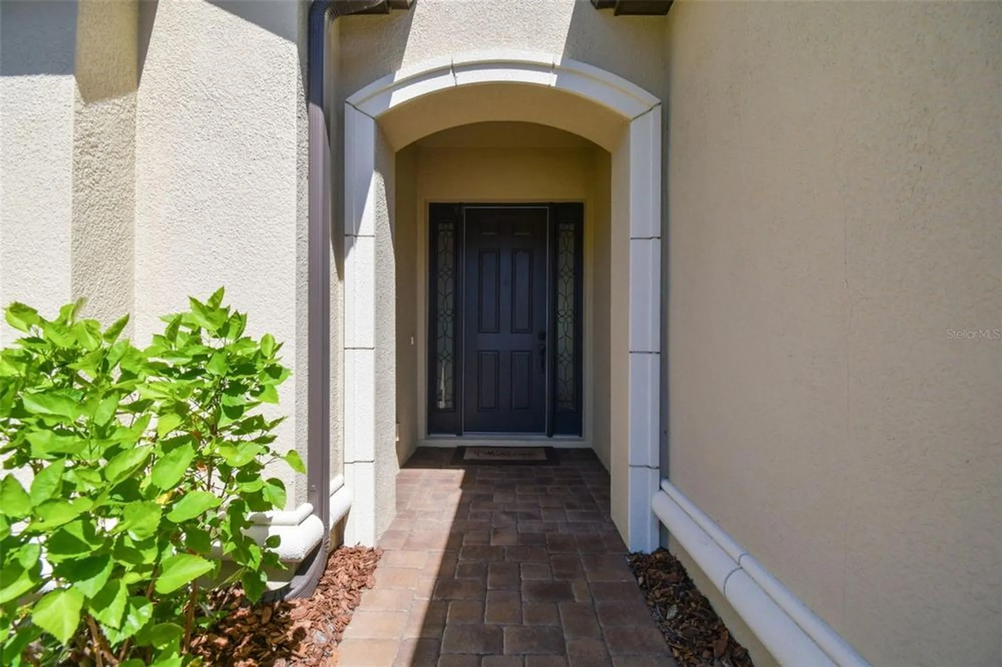 Property Slideshow image 4 of 79 | 8548 grand alberato rd, Tampa, FL, 33647