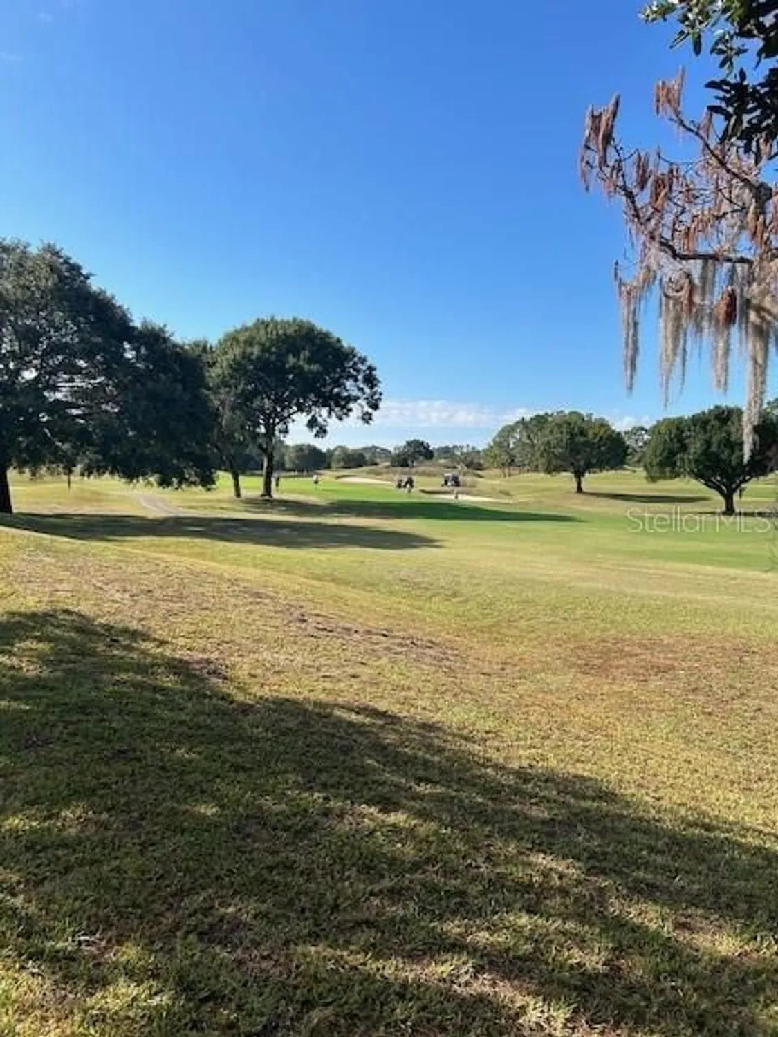 Property Slideshow image 22 of 24 | 13026 se 97th terrace rd, Summerfield, FL, 34491