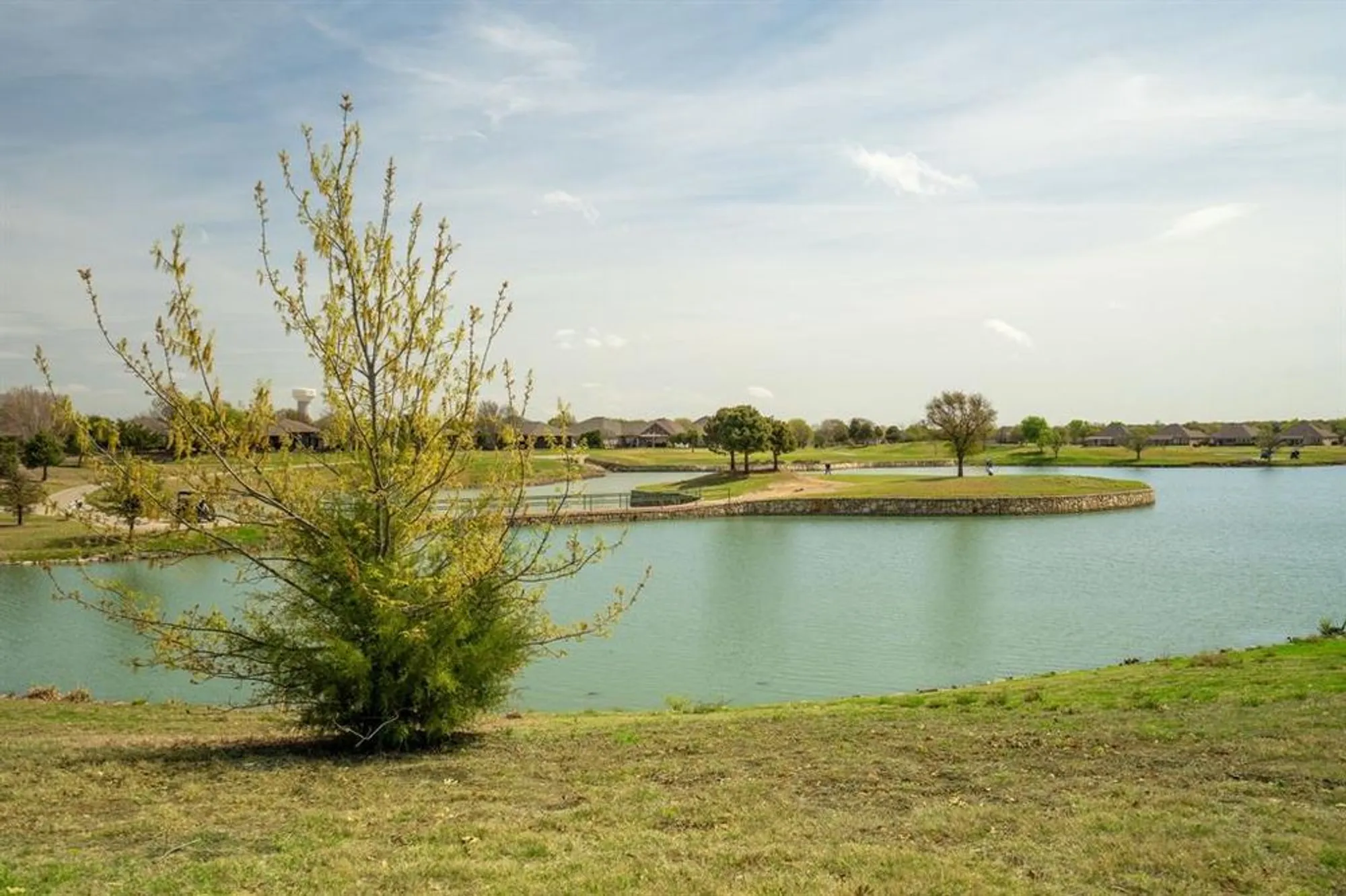 Property Slideshow image 36 of 39 | 942 carrington greens dr, Frisco, TX, 75036