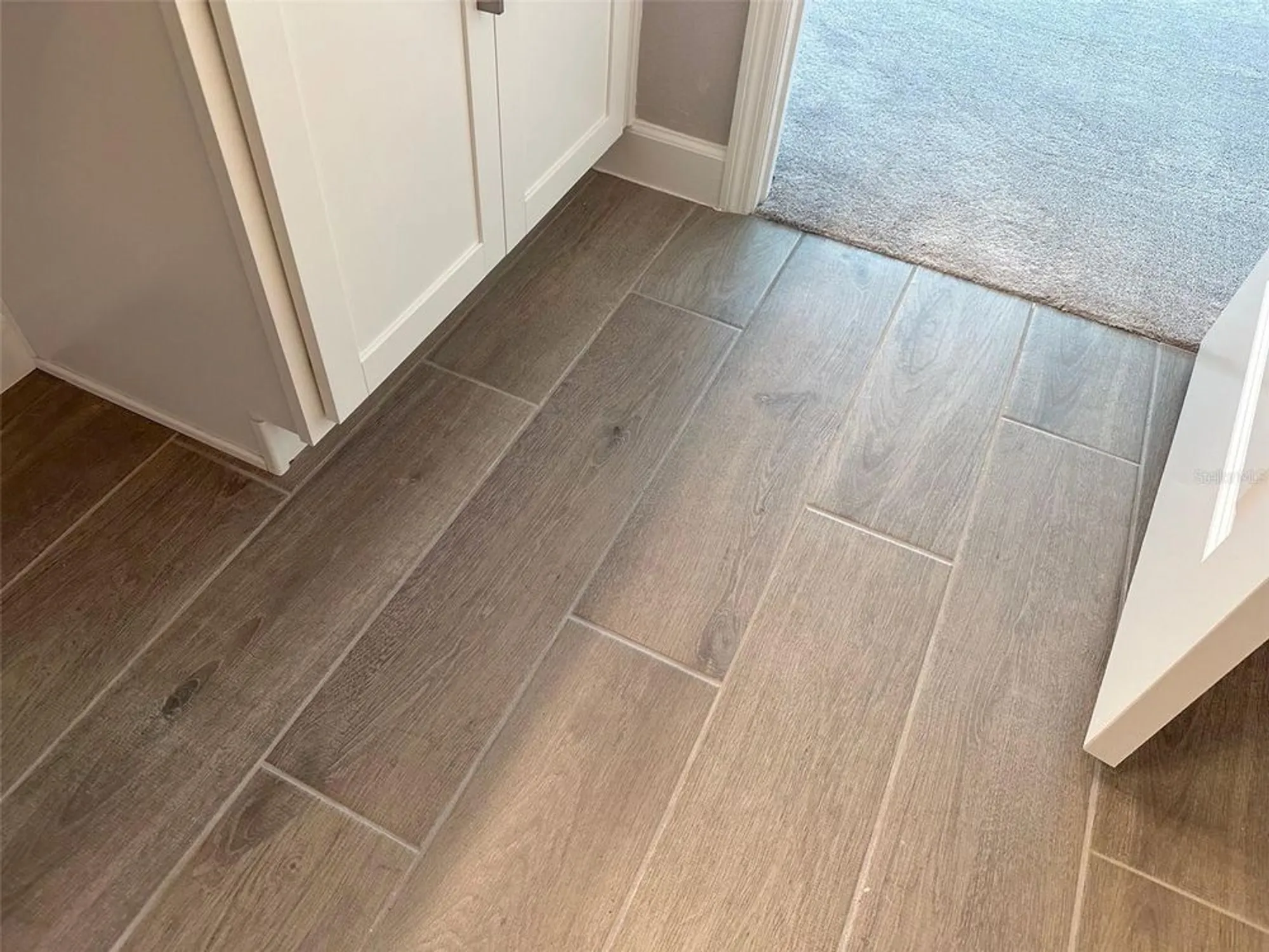 Property Slideshow image 52 of 90 | 17216 mango shay ct, Land O Lakes, FL, 34638