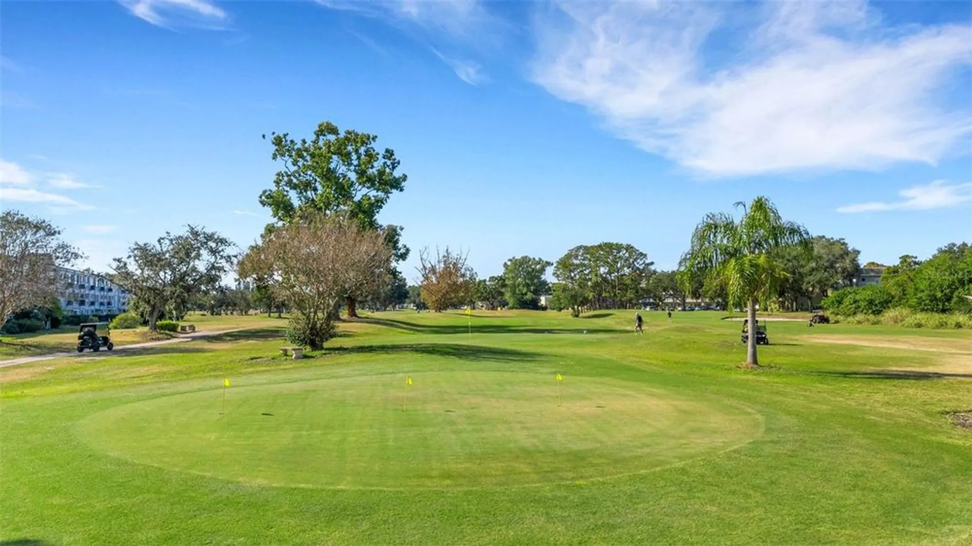 Property Slideshow image 46 of 70 | 2416 world parkway blvd apt 8, Clearwater, FL, 33763