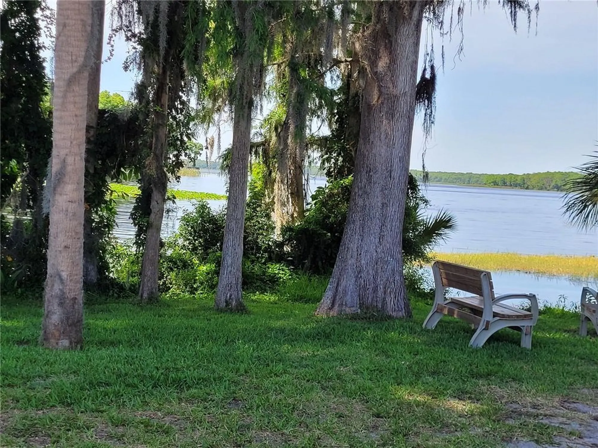 Property Slideshow image 23 of 23 | 946 madrid dr, Palm Harbor, FL, 34684