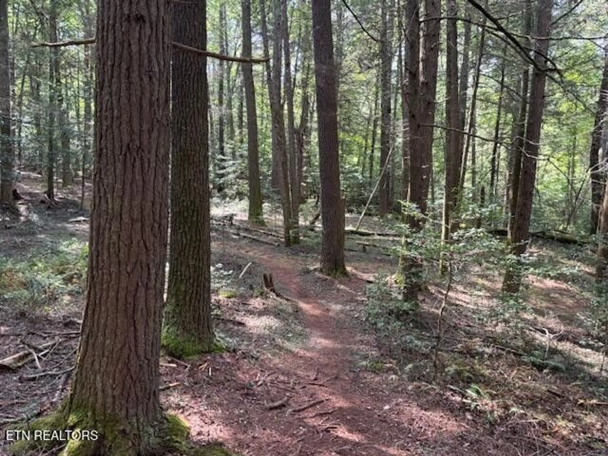 Property Slideshow image 36 of 42 | 151 forest view dr, Crossville, TN, 38558