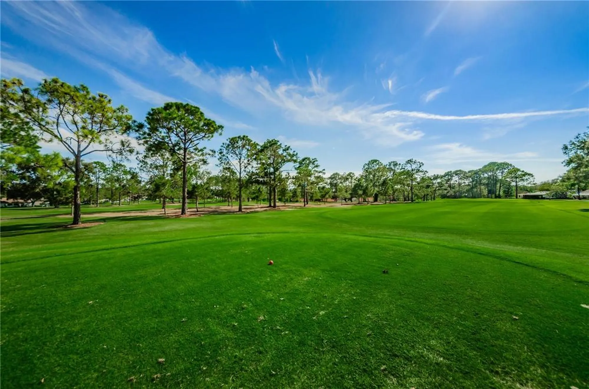 Property Slideshow image 83 of 100 | 3420 stonehaven ct d, Palm Harbor, FL, 34684