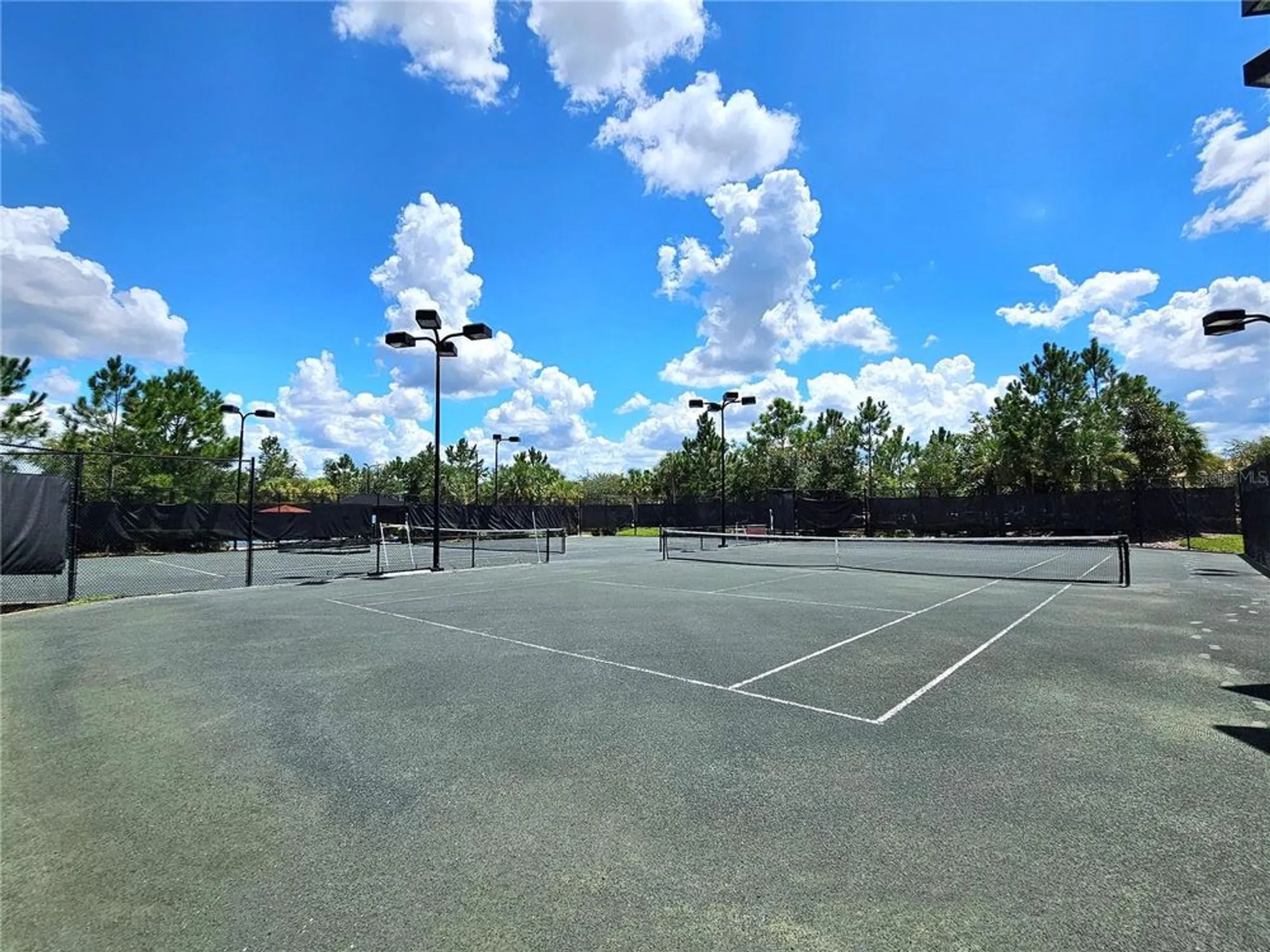 Property Slideshow image 64 of 72 | 11740 bitola dr, Odessa, FL, 33556