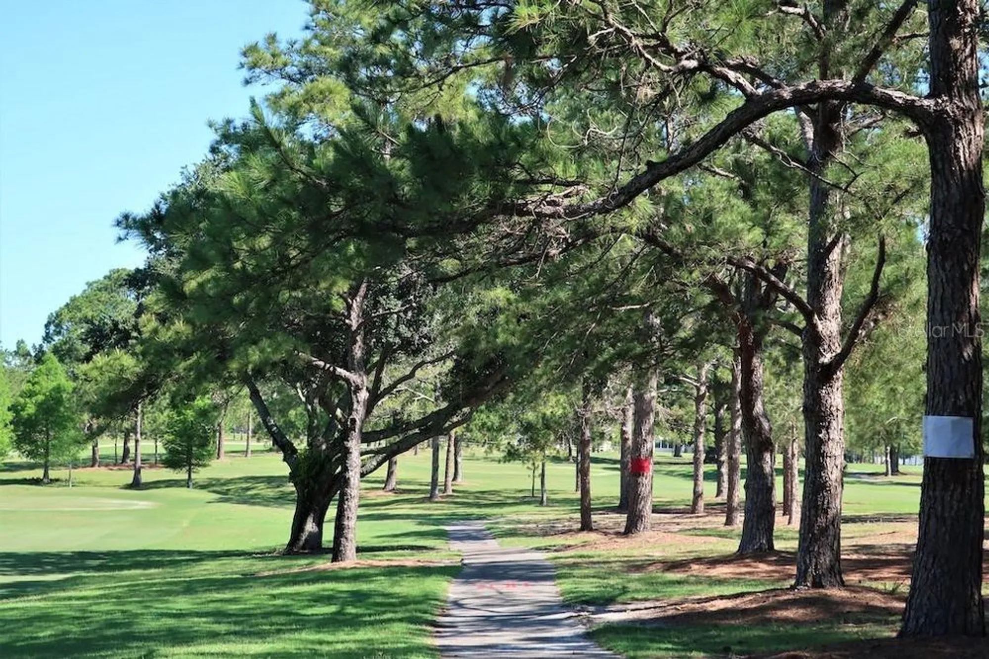 Property Slideshow image 62 of 78 | 3140 highlands blvd f, Palm Harbor, FL, 34684