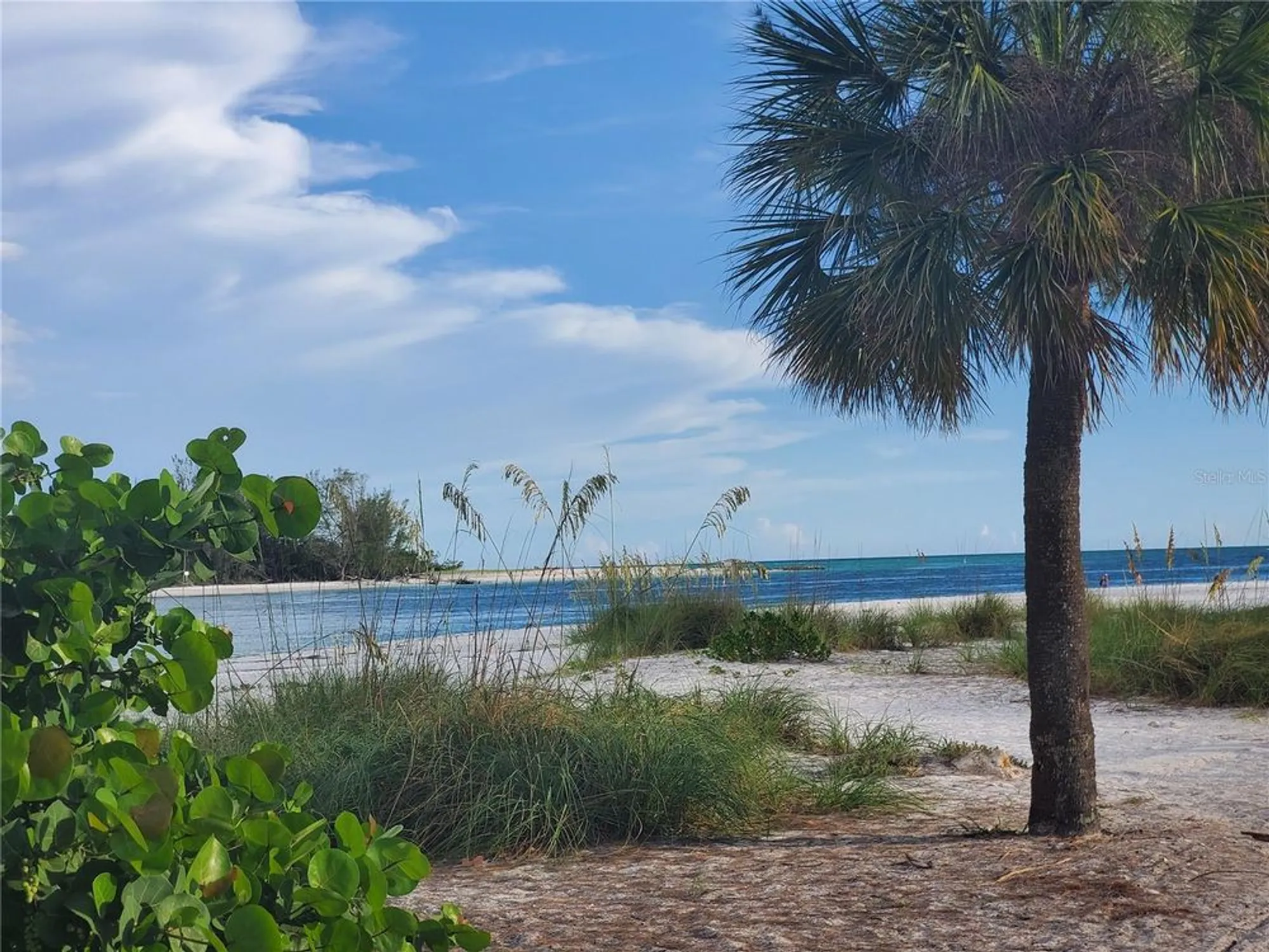 Property Slideshow image 50 of 52 | 343 compass point dr unit 201, Bradenton, FL, 34209