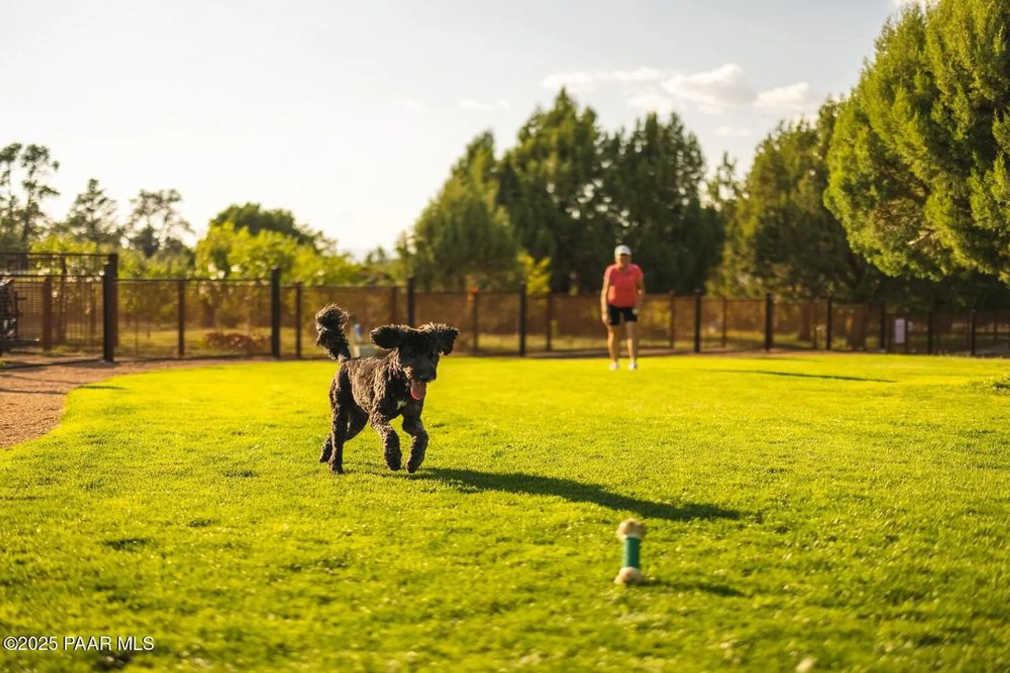 Property Slideshow image 17 of 20 | 14825 n double adobe rd, Prescott, AZ, 86305