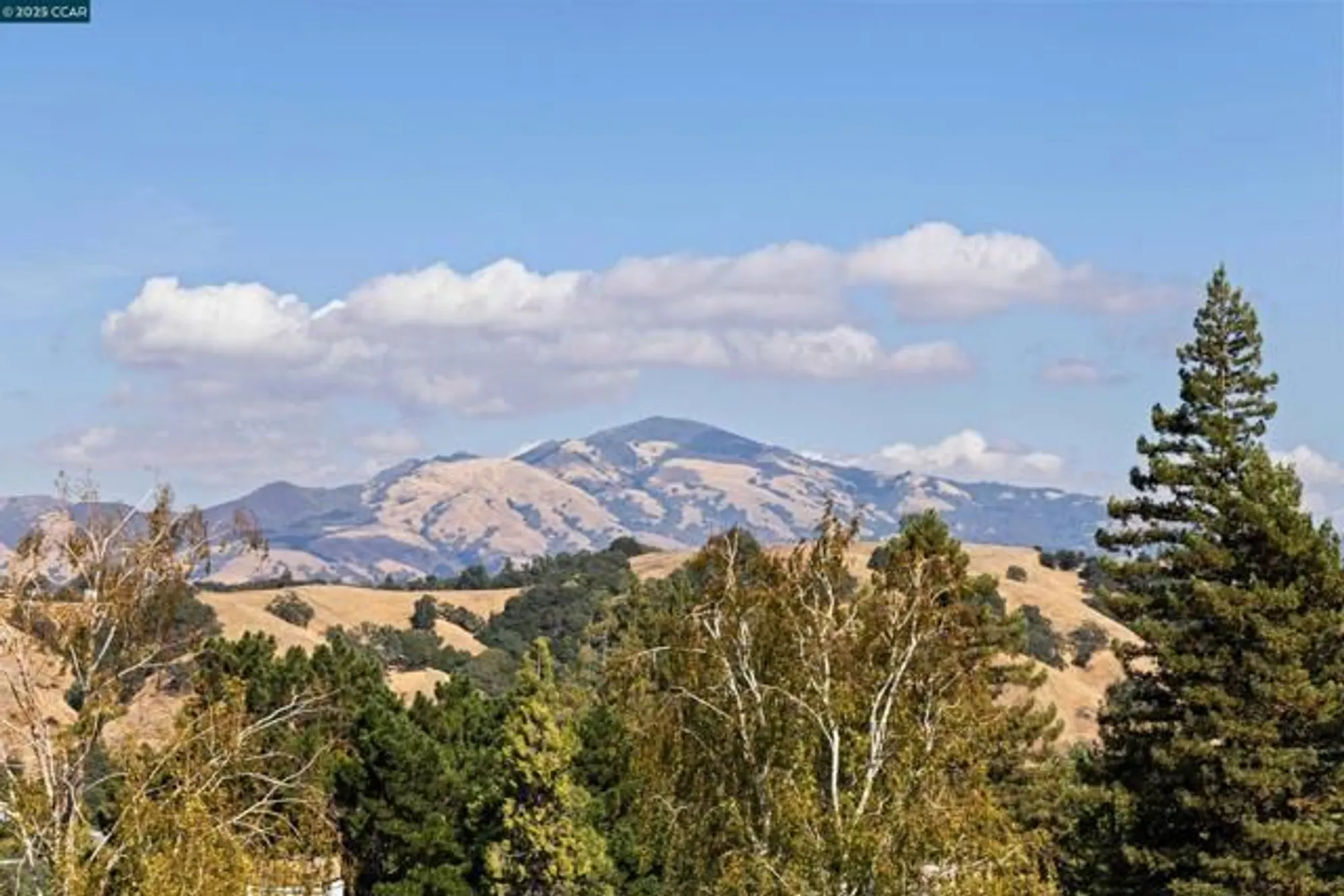 Property Slideshow image 15 of 38 | 3318 ptarmigan dr apt 1b, Walnut Creek, CA, 94595