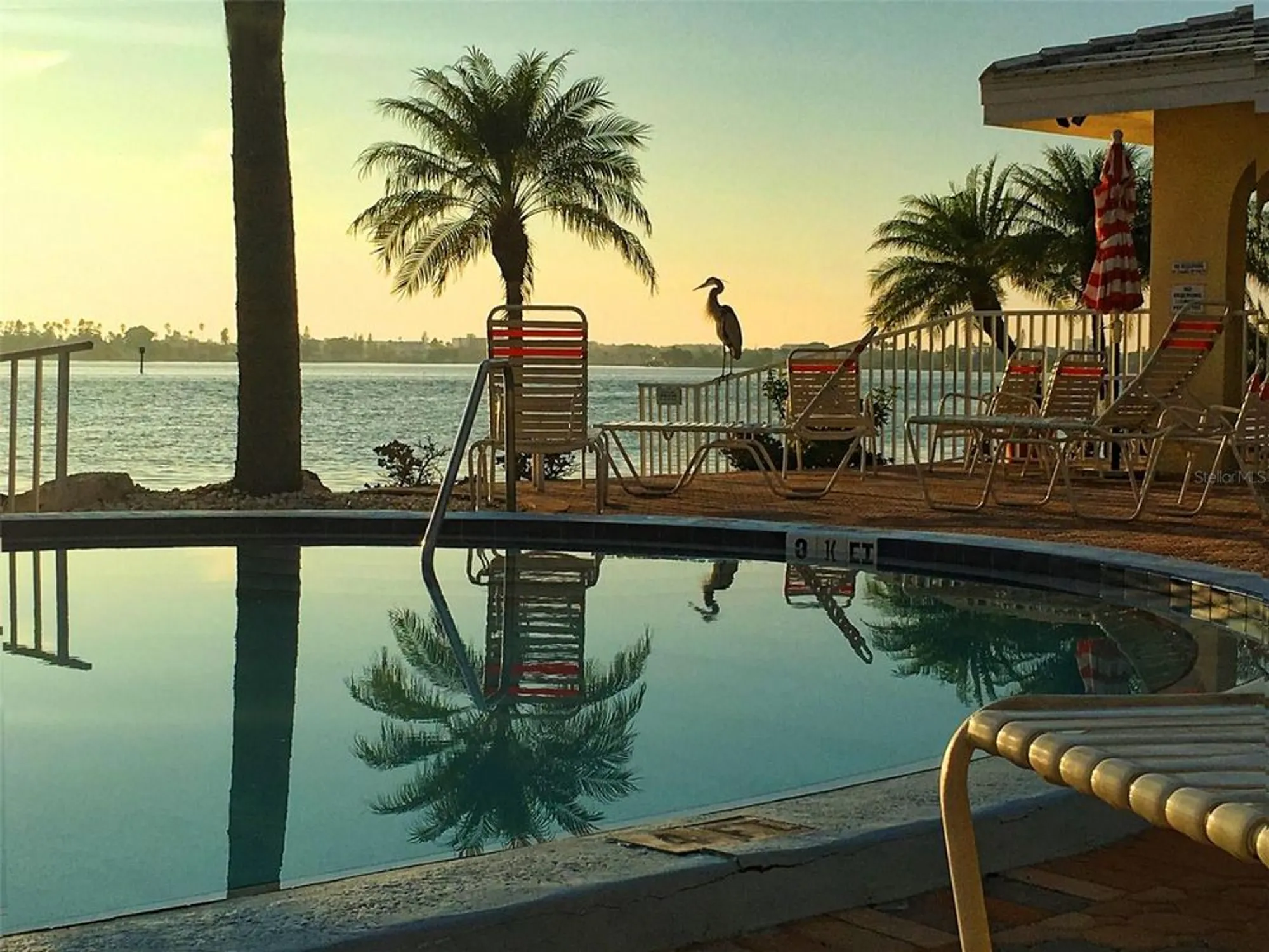 Property Slideshow image 39 of 46 | 4750 cove cir apt 502, St Petersburg, FL, 33708