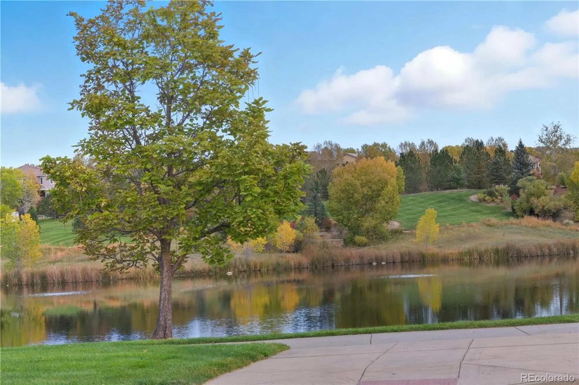 Property Slideshow image 46 of 50 | 3763 wild horse dr, Broomfield, CO, 80023