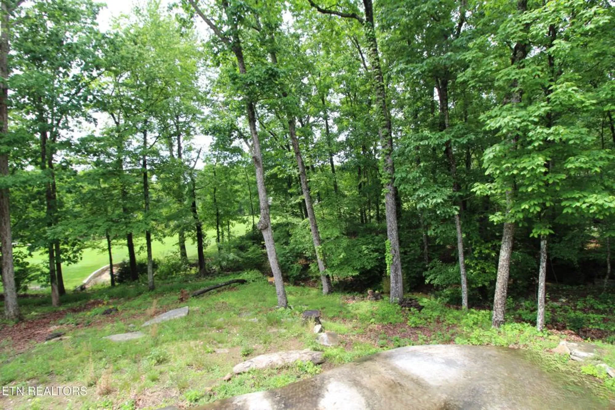 Property Slideshow image 6 of 45 | 116 rolling green dr, Crossville, TN, 38558