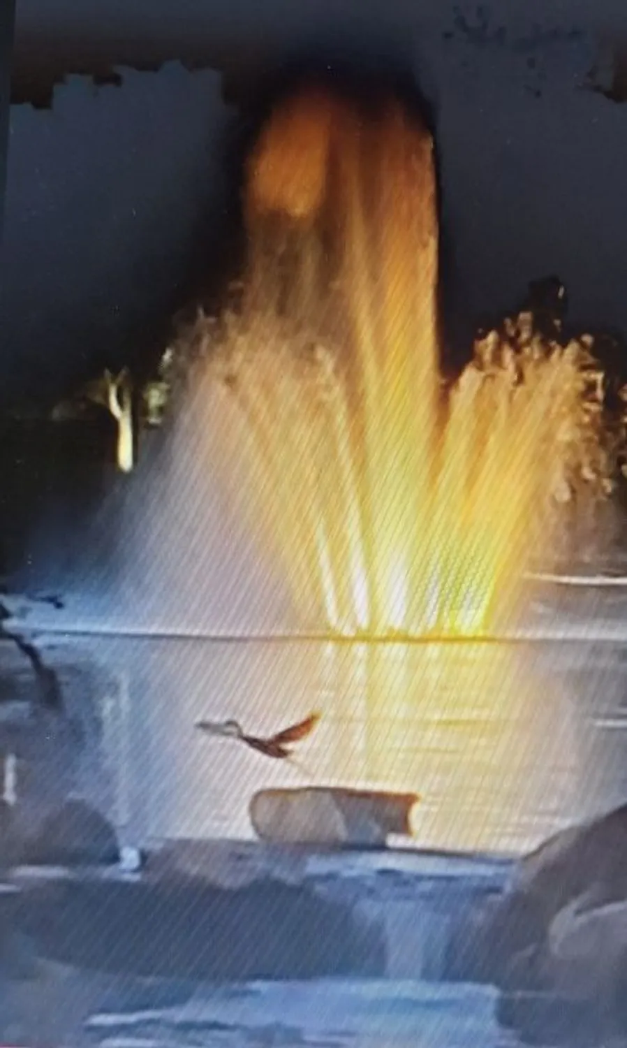 Property Slideshow image 48 of 49 | 12255 wildflower ln, Huntley, IL, 60142