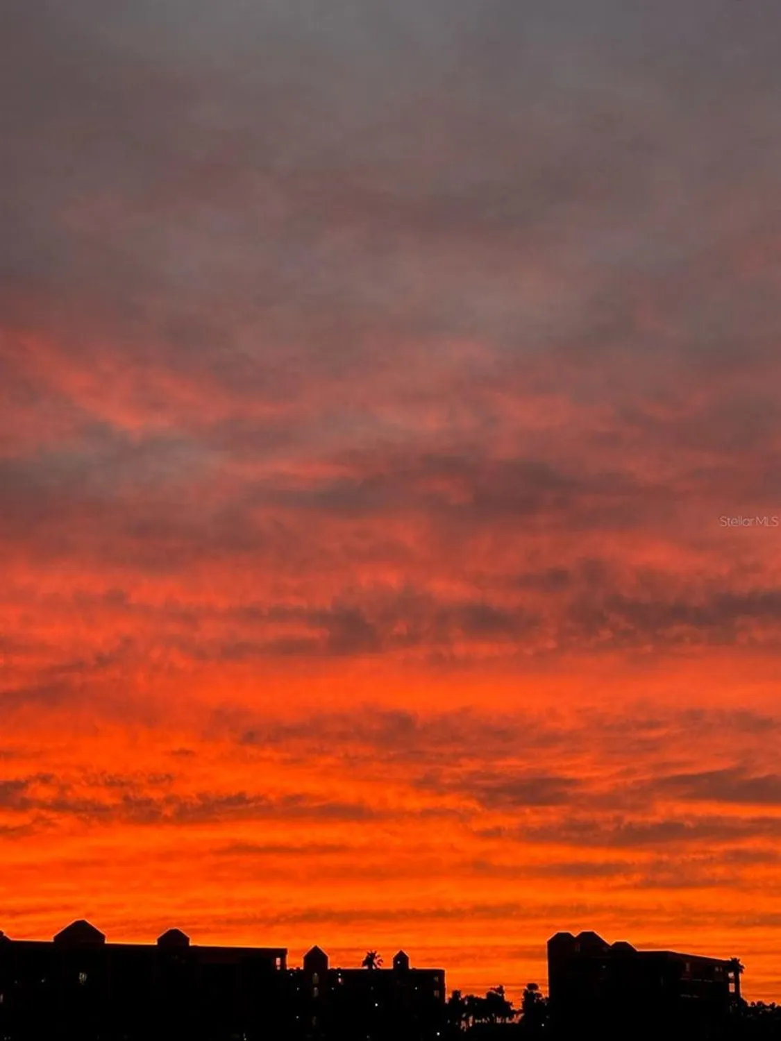 Property Slideshow image 60 of 92 | 7700 sun island dr 506, South Pasadena, FL, 33707