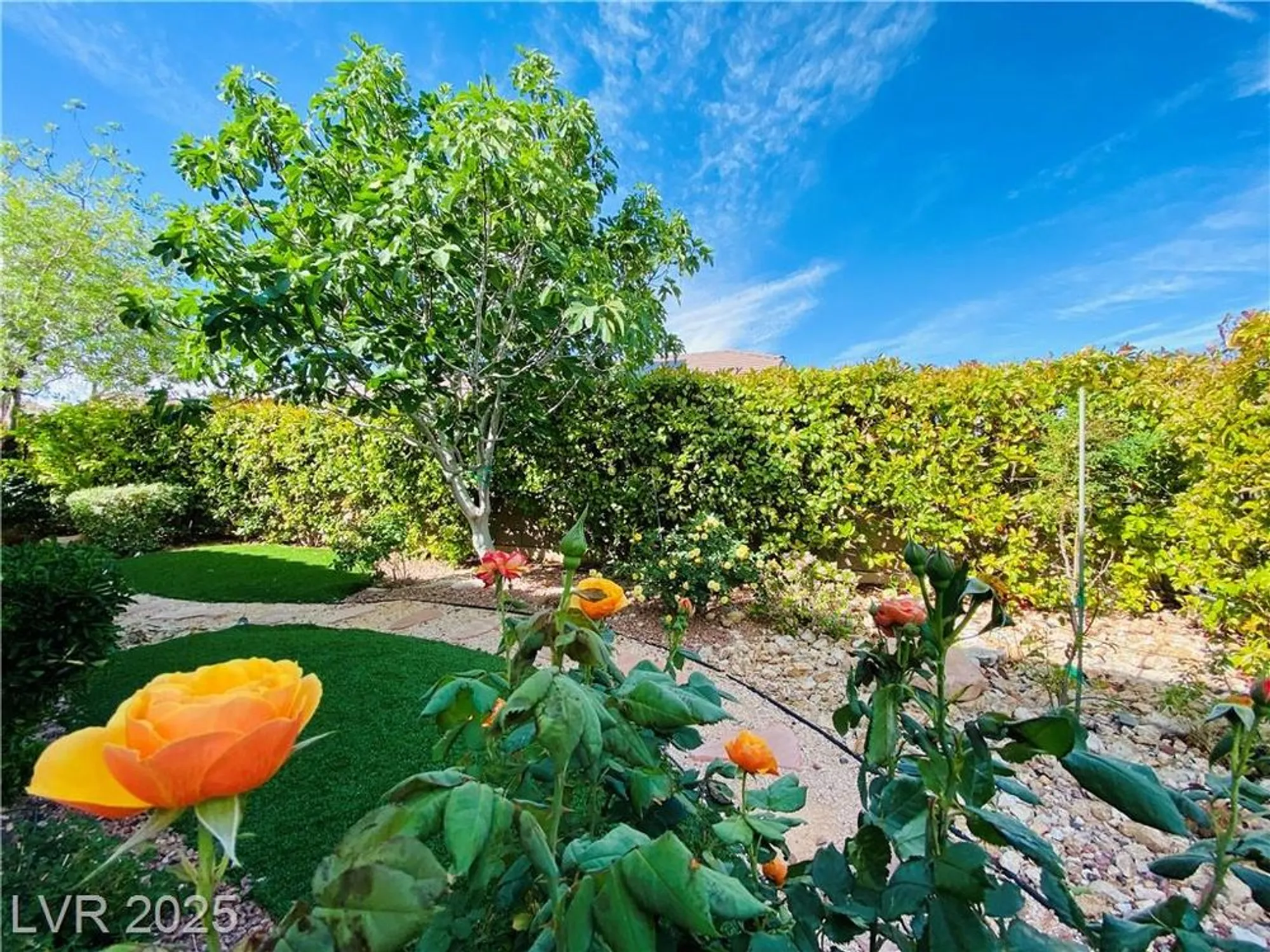 Property Slideshow image 53 of 68 | 2357 wisconsin dells dr, Henderson, NV, 89044