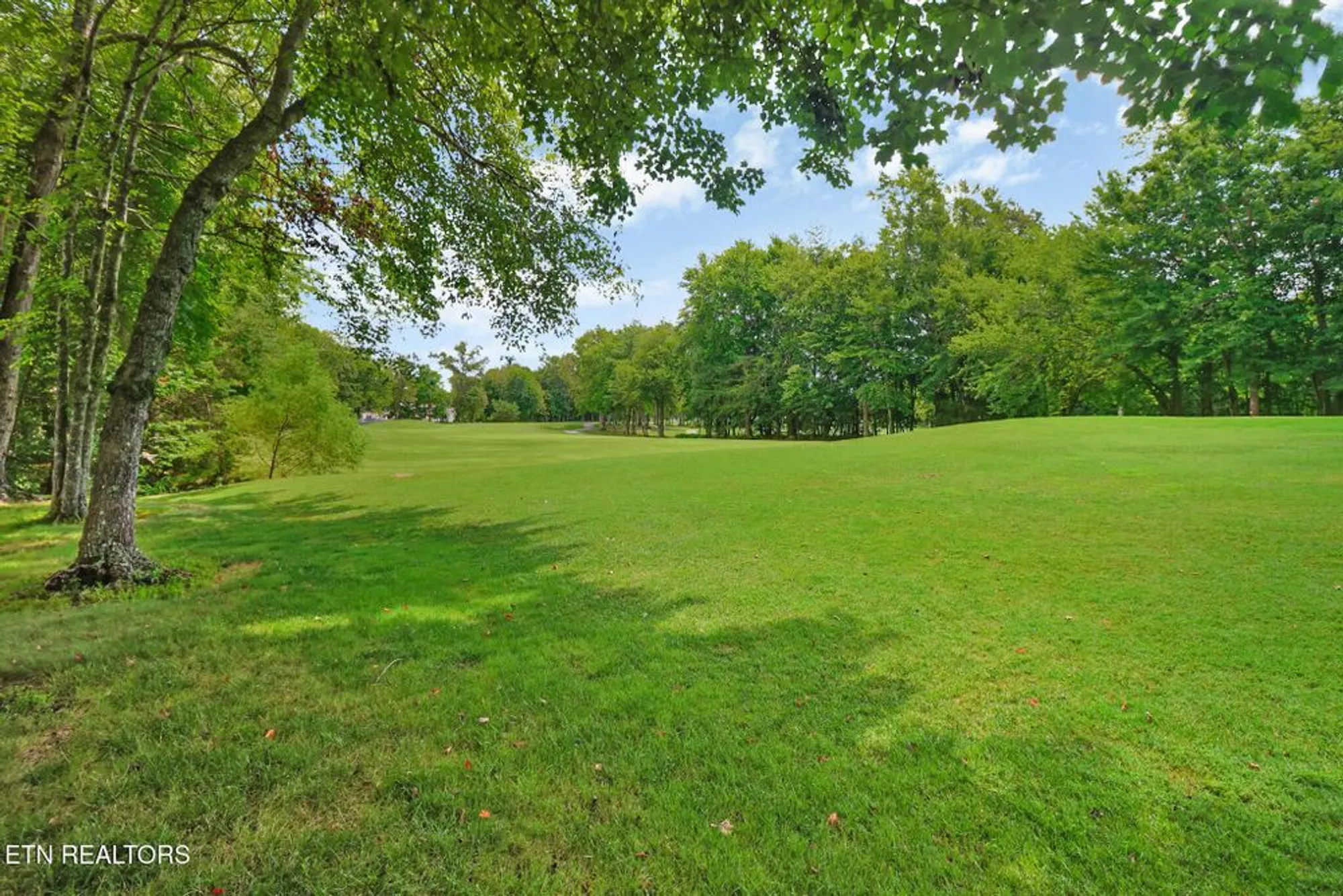 Property Slideshow image 44 of 47 | 237 forest hill dr, Crossville, TN, 38558
