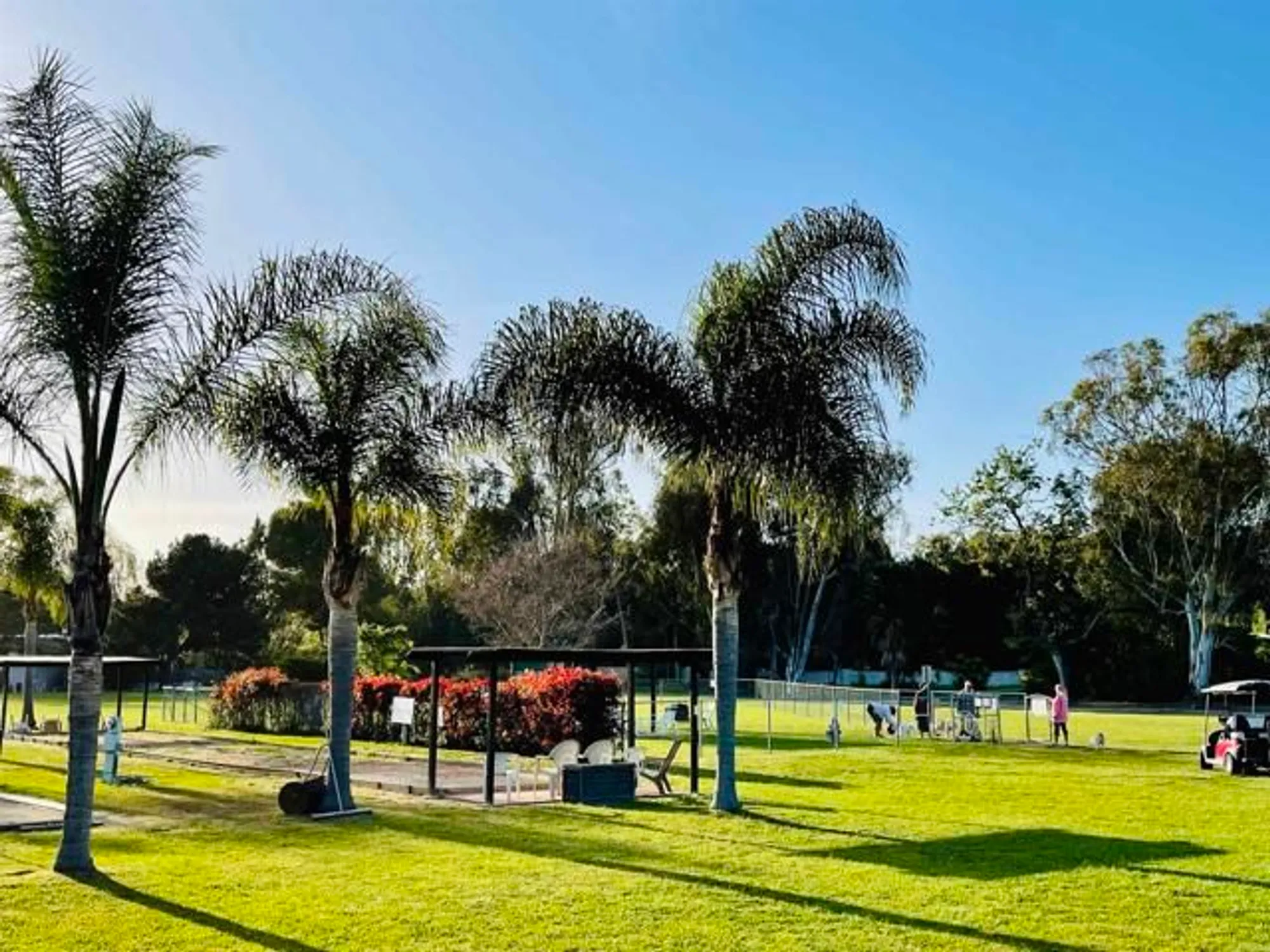 Property Slideshow image 70 of 74 | 3445 don ortega dr, Carlsbad, CA, 92010