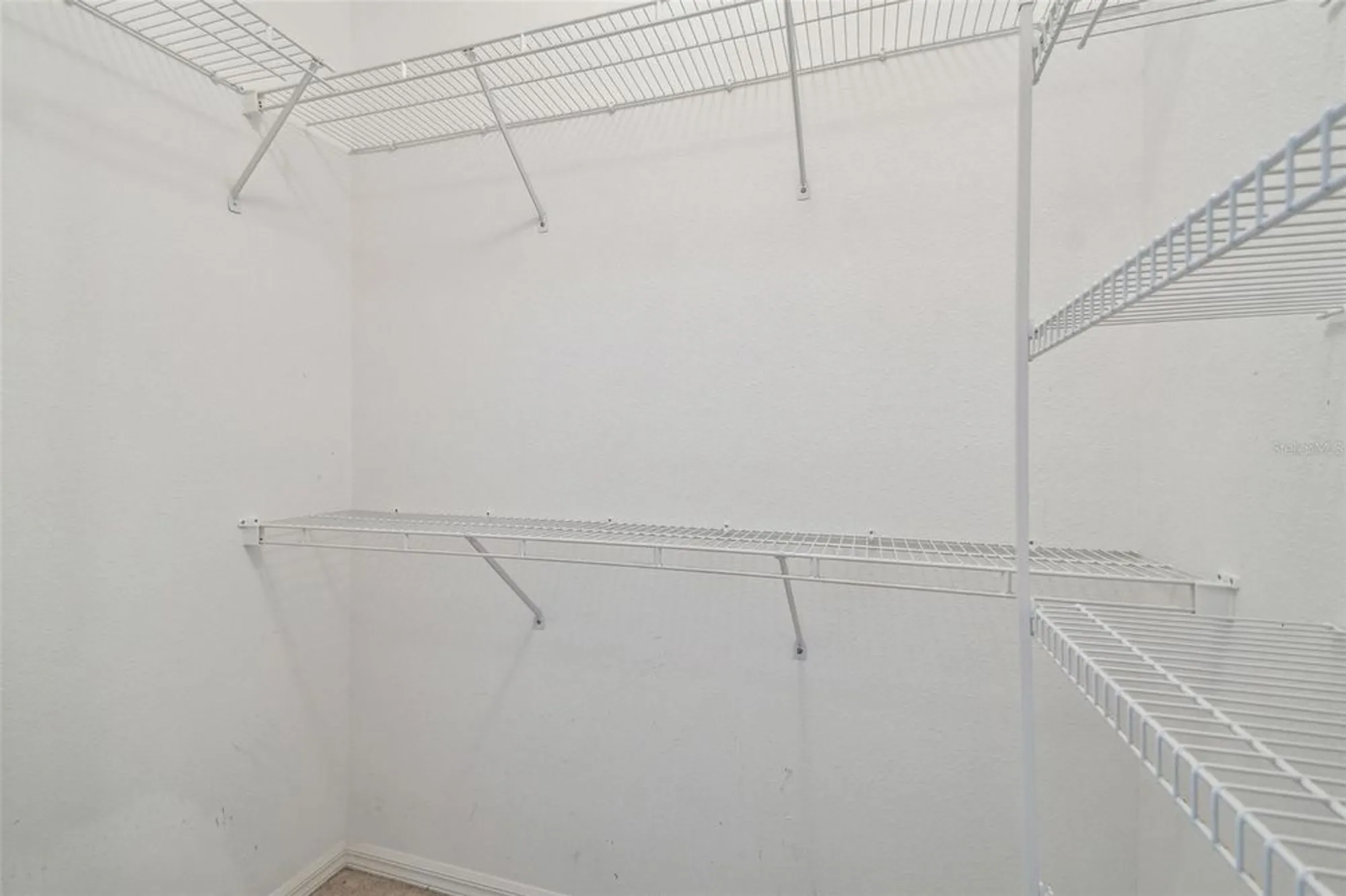 Property Slideshow image 14 of 53 | 11147 brambleleaf way, Hudson, FL, 34667