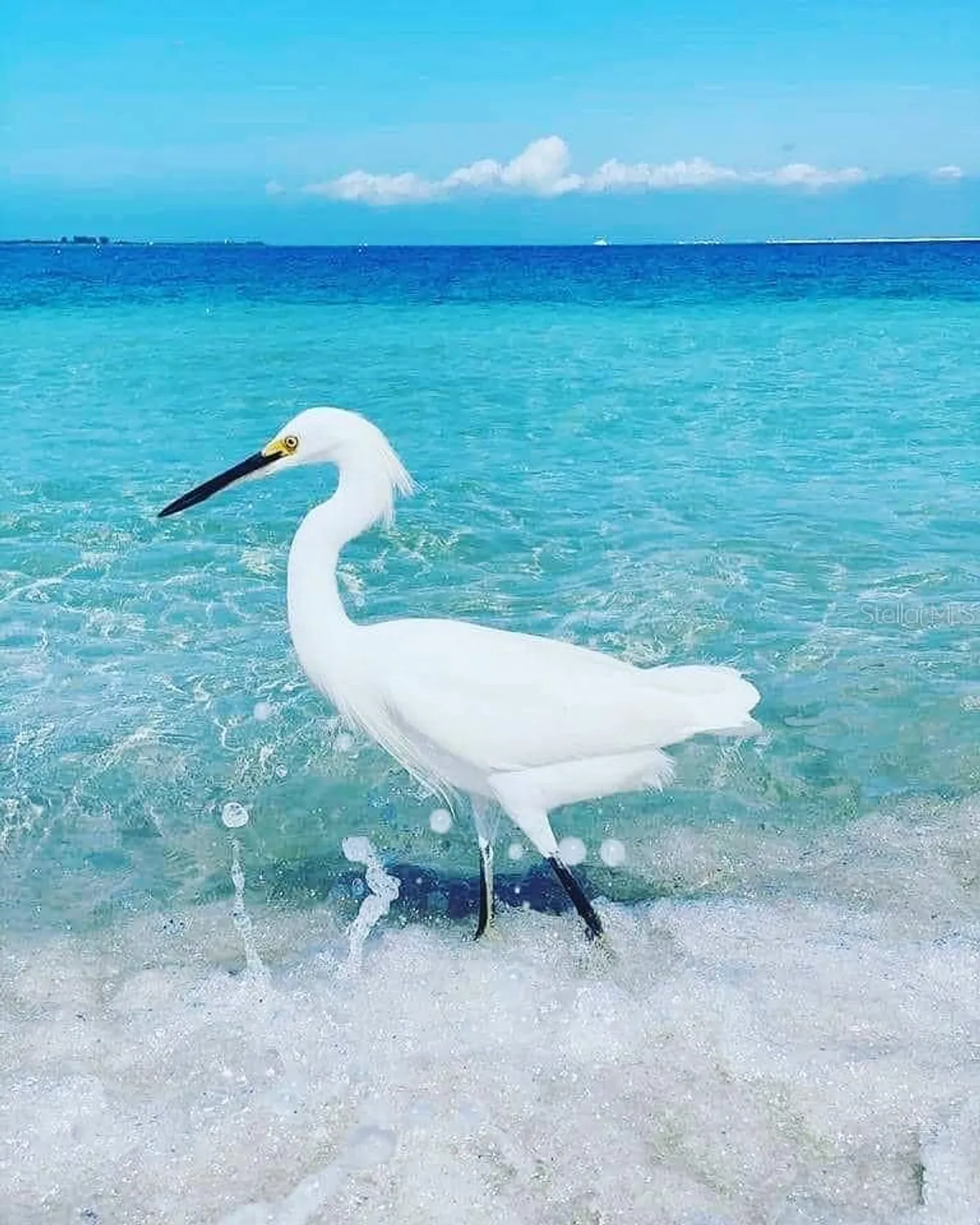 Property Slideshow image 100 of 100 | 13486 nobilio st, Venice, FL, 34293