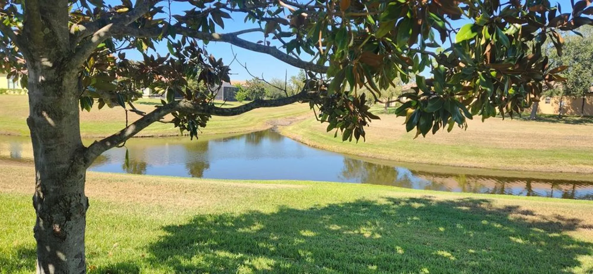 Property Slideshow image 10 of 32 | 239 mystic falls dr, Apollo Beach, FL, 33572