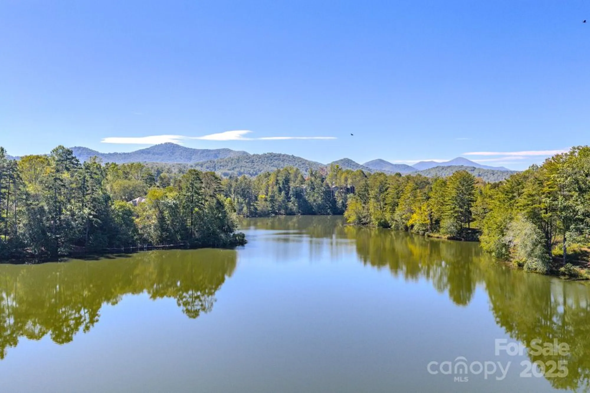 Property Slideshow image 39 of 39 | 16 larue ct, Biltmore Lake, NC, 28715