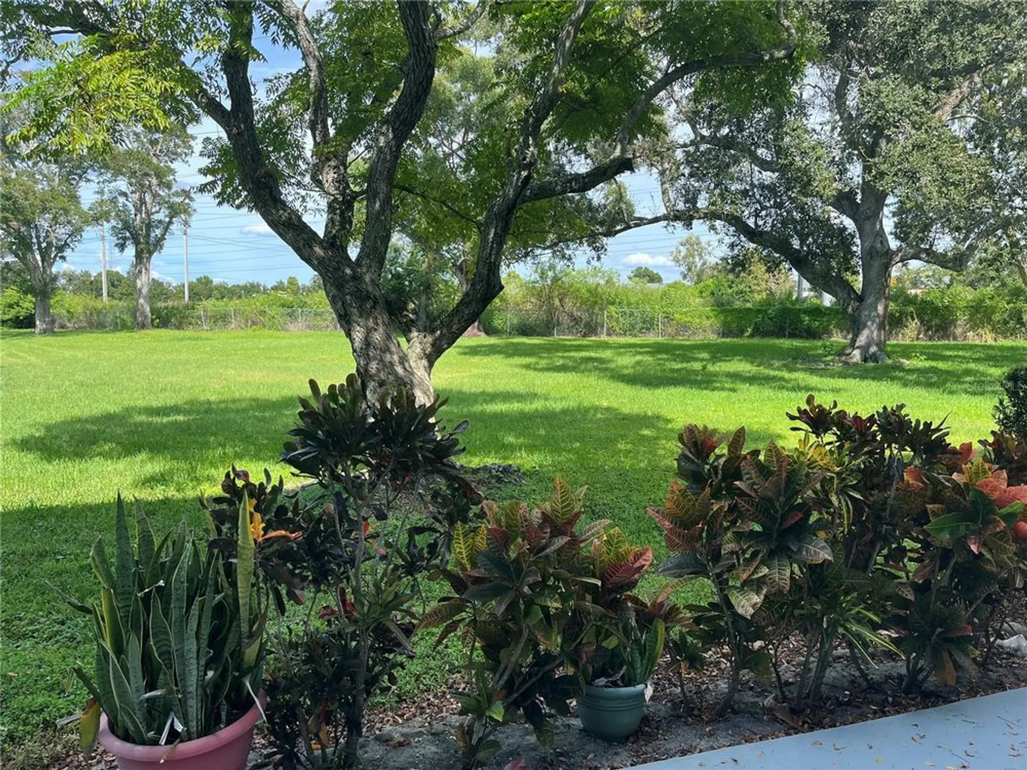 Property Slideshow image 19 of 41 | 2462 brazilia dr 22, Clearwater, FL, 33763