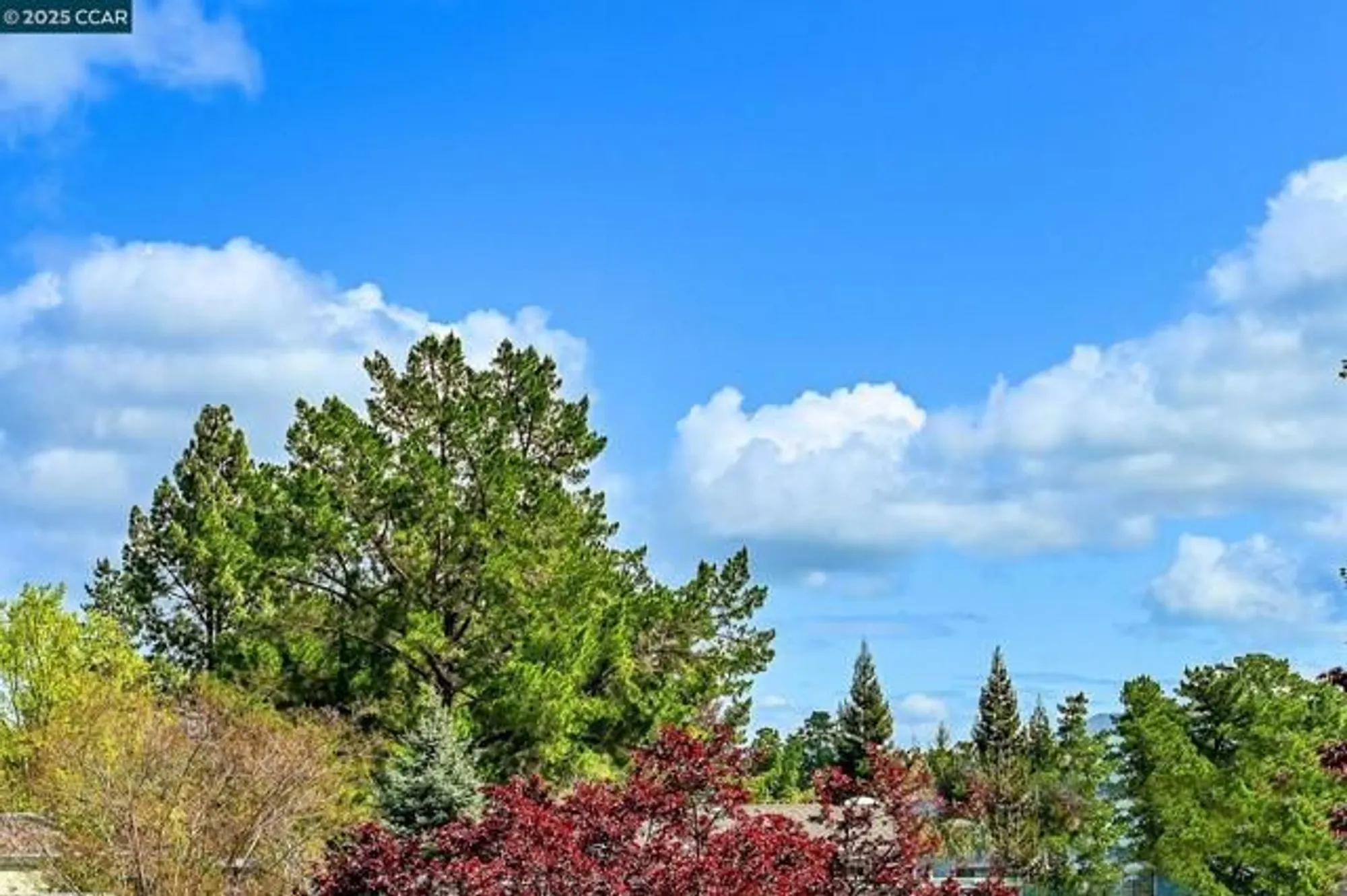 Property Slideshow image 12 of 36 | 1549 oakmont dr 12, Walnut Creek, CA, 94595