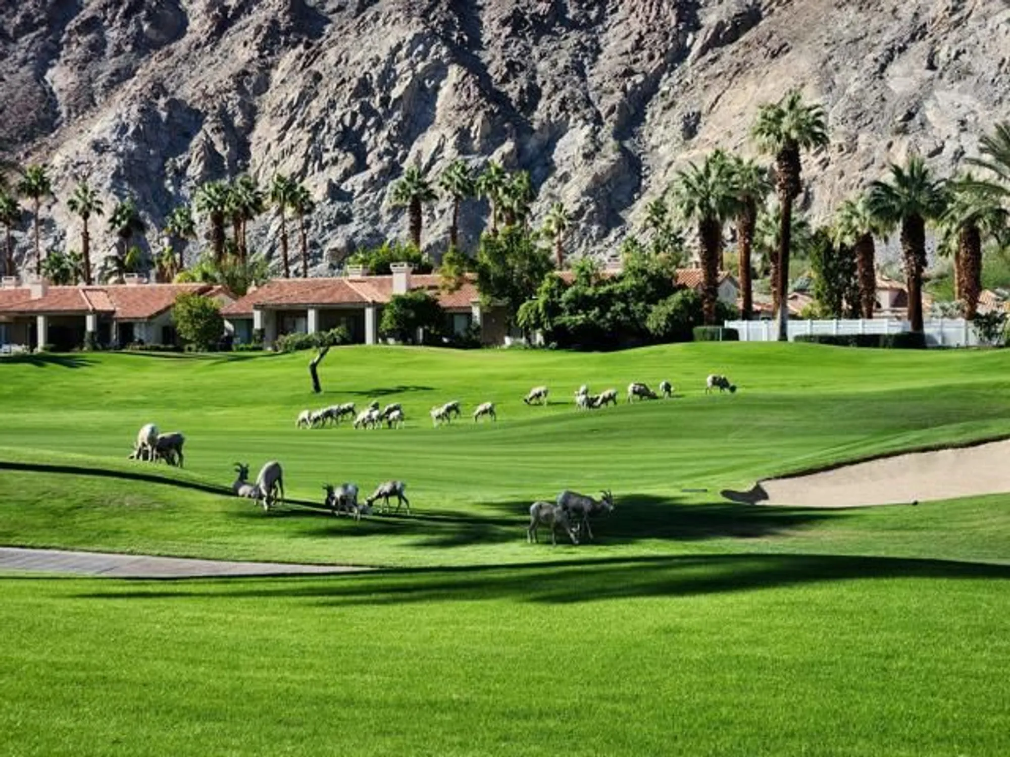 Property Slideshow image 47 of 53 | 55280 riviera, La Quinta, CA, 92253