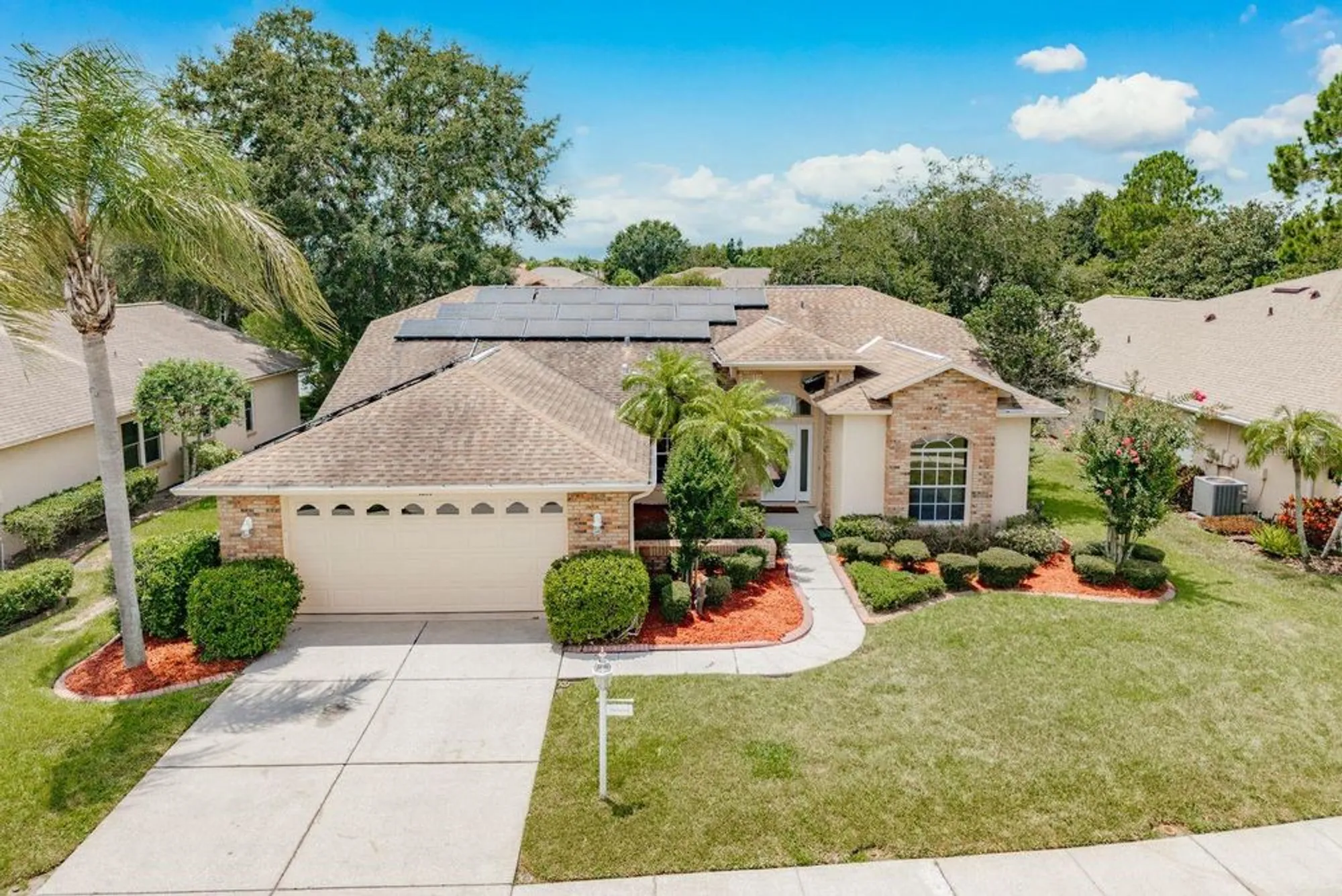 Property Slideshow image 48 of 49 | 1251 rambling vine ct, Trinity, FL, 34655