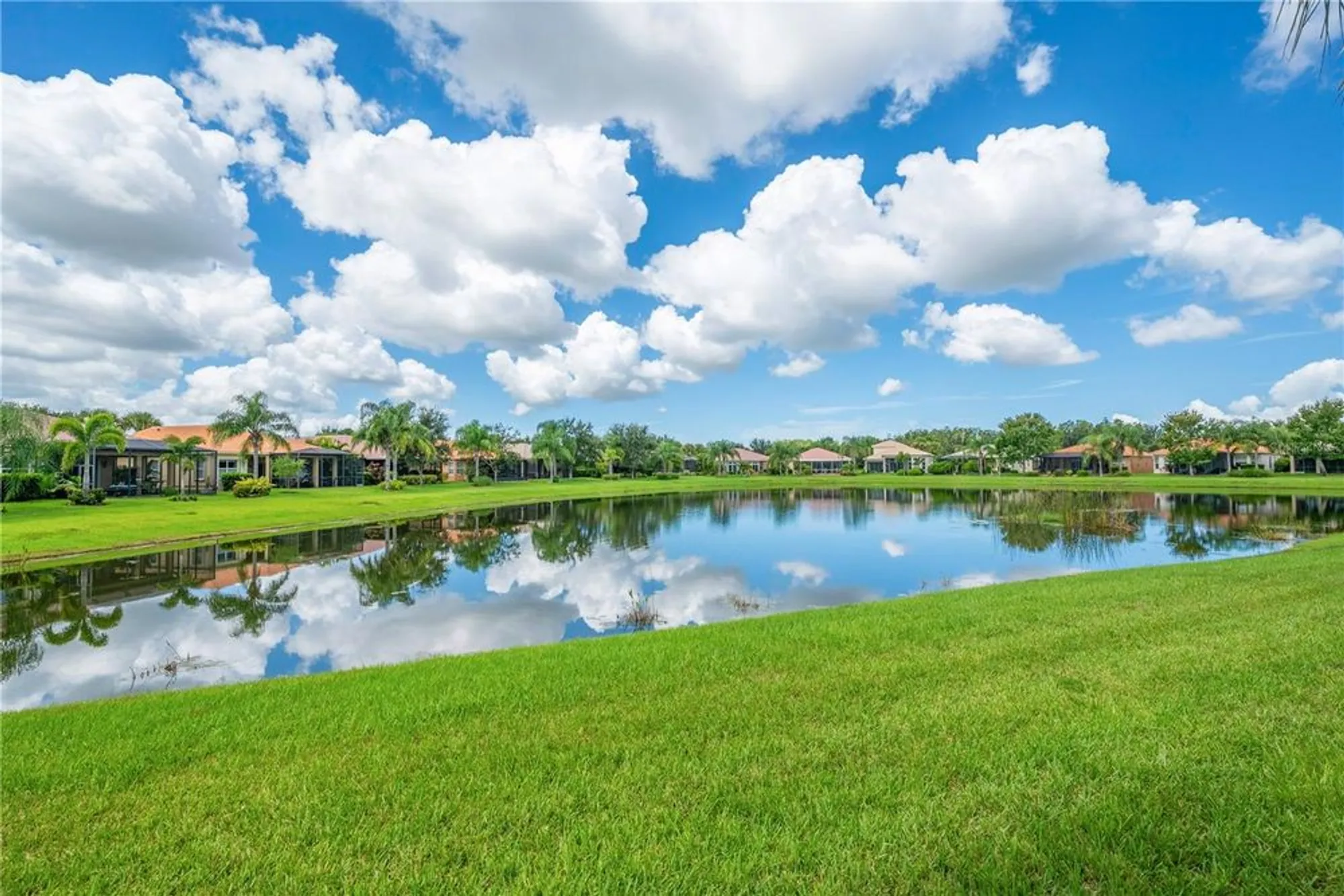 Property Slideshow image 28 of 49 | 15931 golden lakes dr, Wimauma, FL, 33598