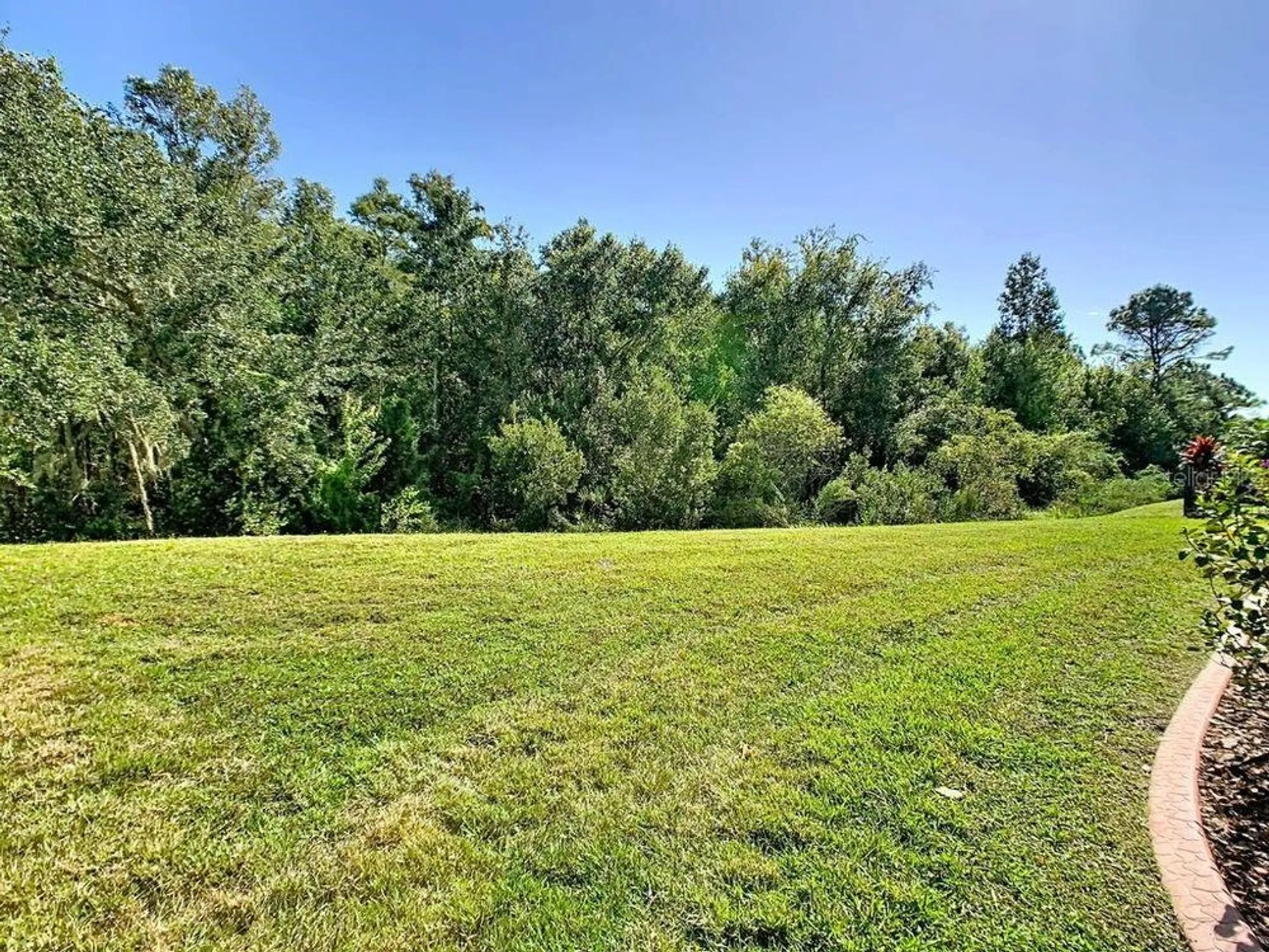 Property Slideshow image 3 of 71 | 543 via vitale ct, Kissimmee, FL, 34759