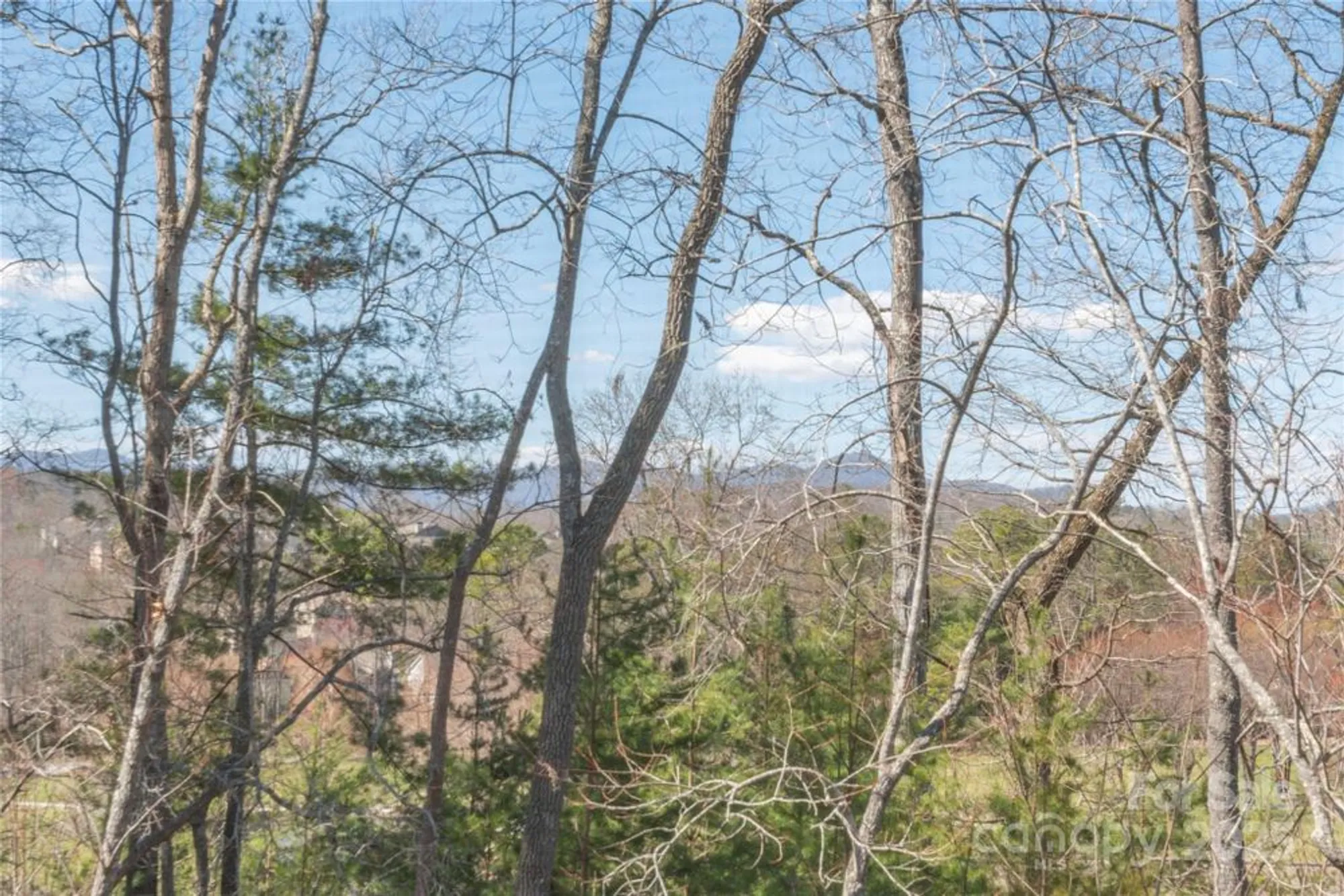 Property Slideshow image 25 of 41 | 95 greenwells glory dr, Biltmore Lake, NC, 28715