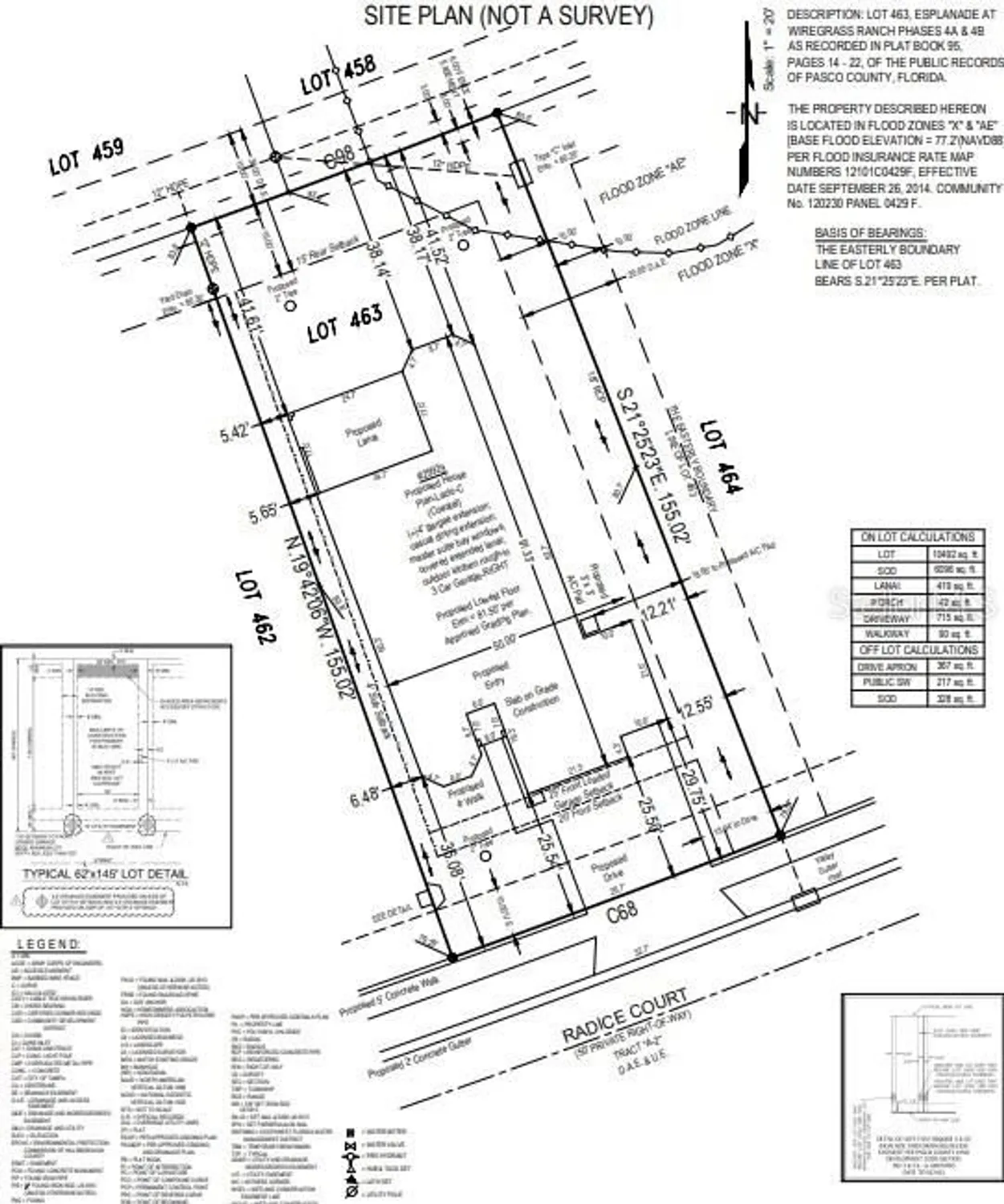 Property Slideshow image 4 of 43 | 29929 radice ct, Wesley Chapel, FL, 33543