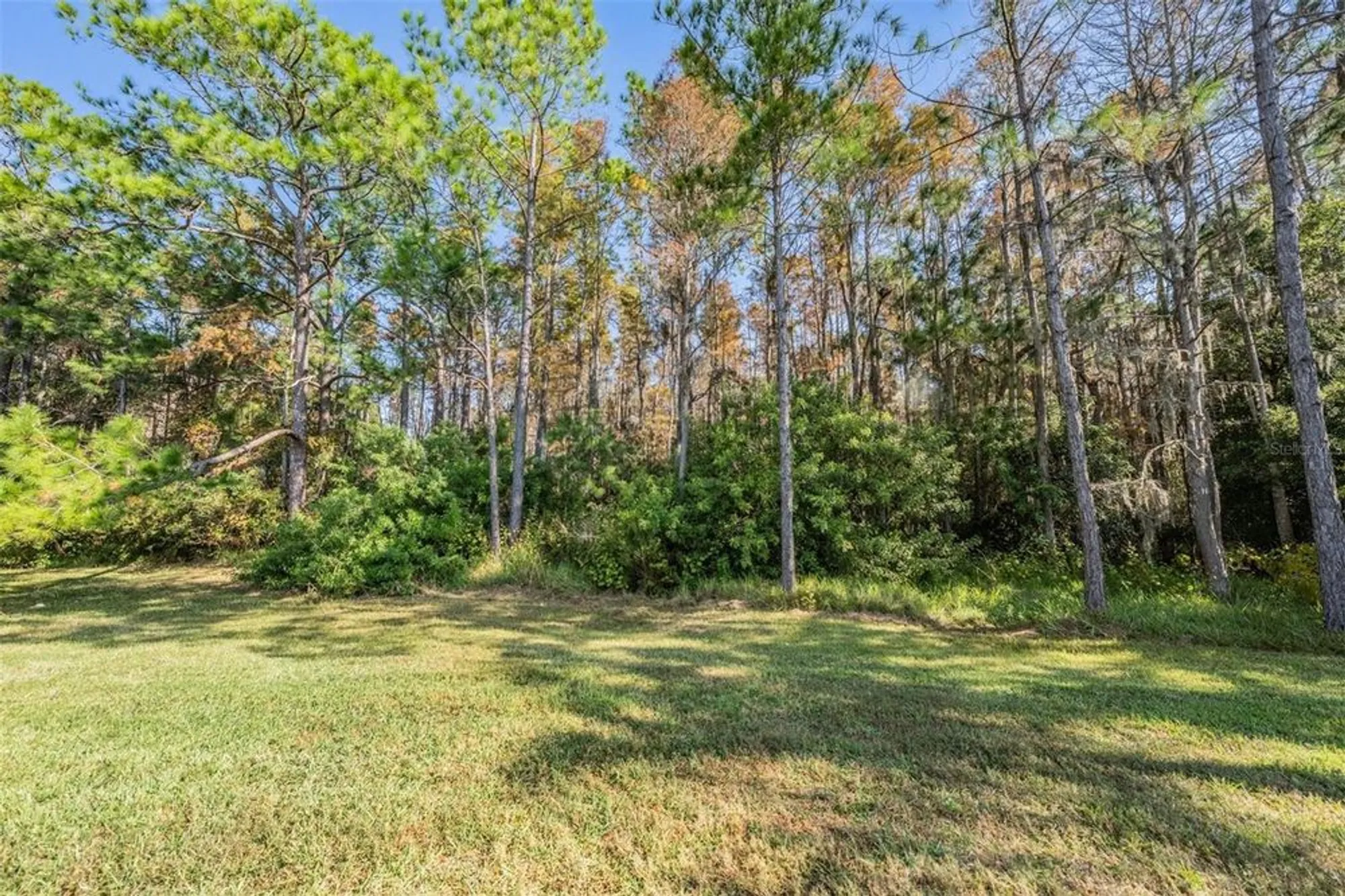 Property Slideshow image 21 of 49 | 1143 dustan pl, Trinity, FL, 34655