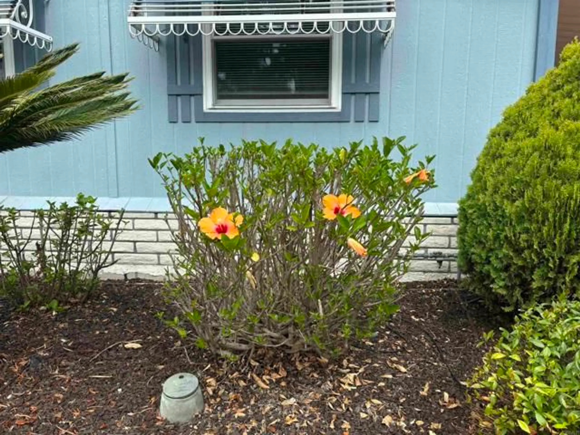 Property Slideshow image 3 of 29 | 5420 kipling ln, Carlsbad, CA, 92008